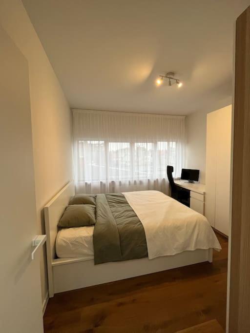 Beautiful 2BR apartment in the city center
