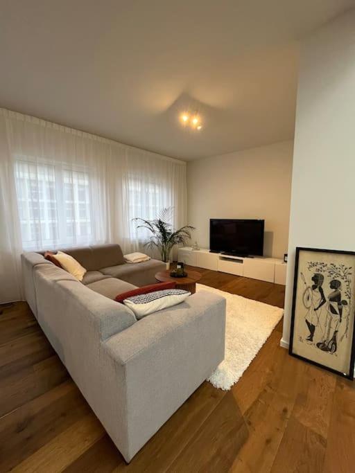 Beautiful 2BR apartment in the city center