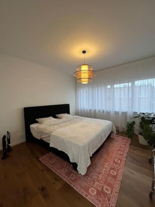 Beautiful 2BR apartment in the city center
