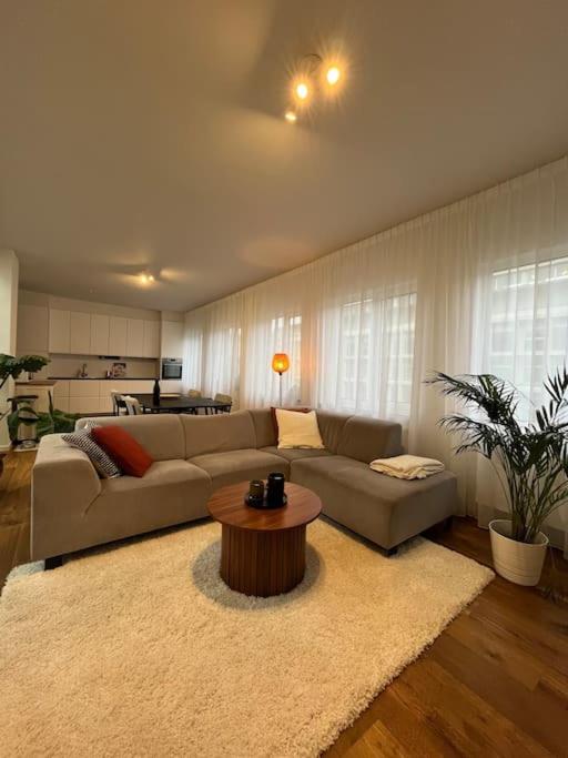 Beautiful 2BR apartment in the city center