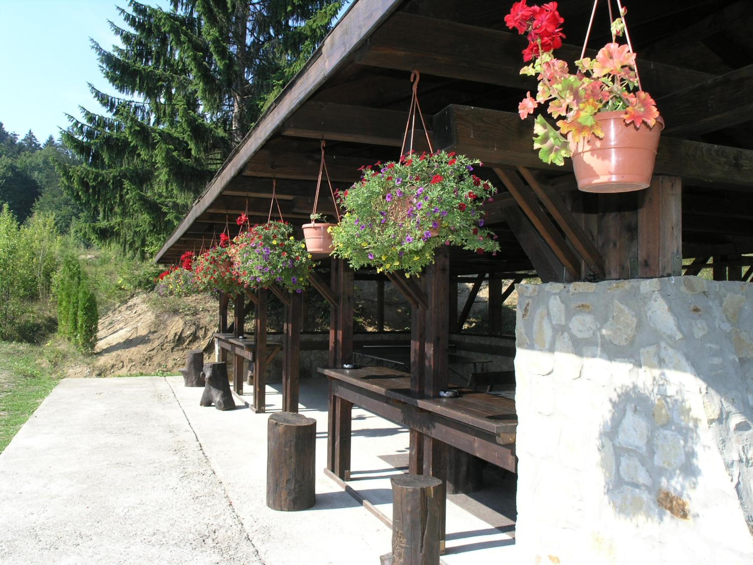 Vila Arcadia Sucevita