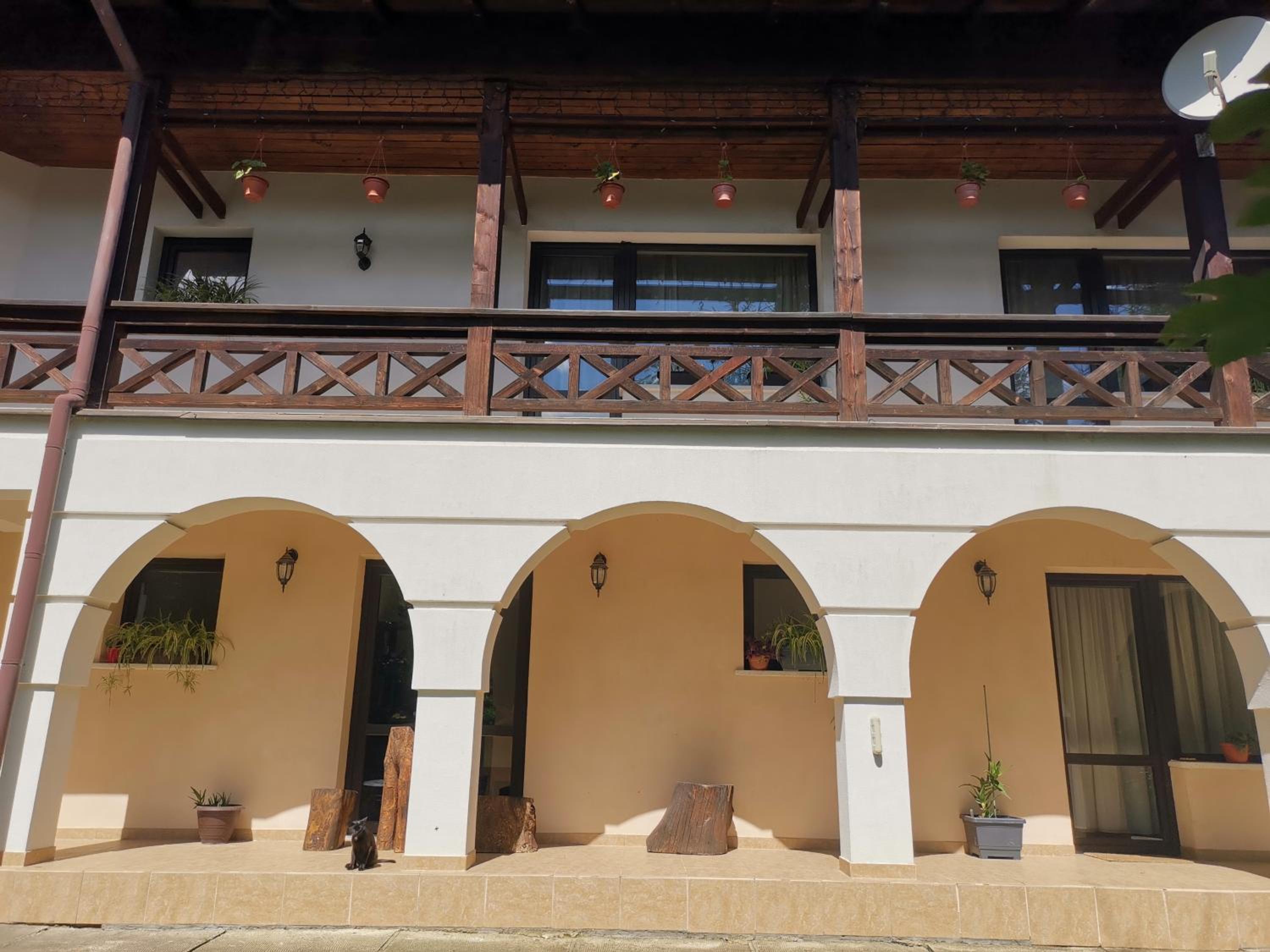 Vila Arcadia Sucevita