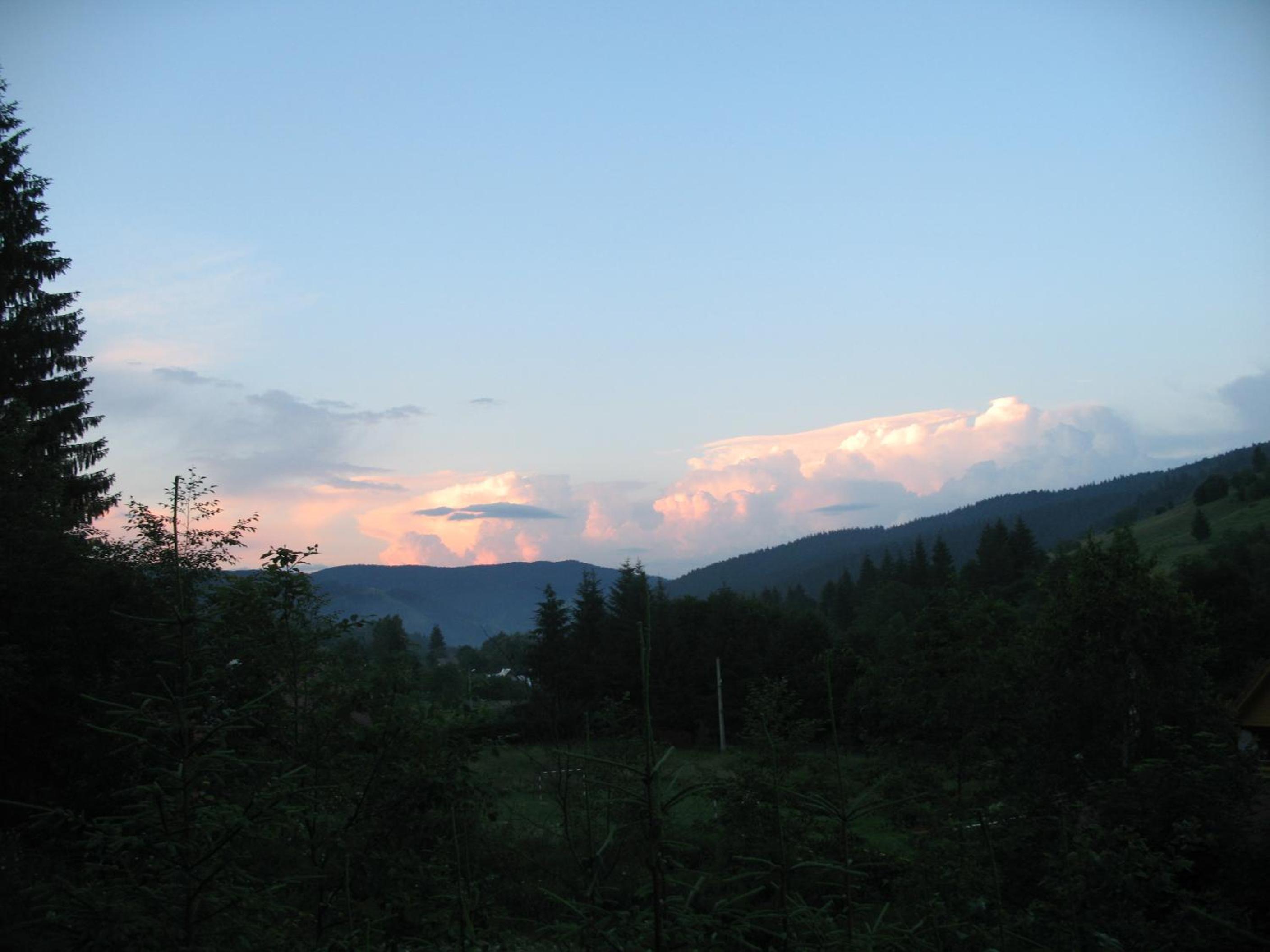 Vila Arcadia Sucevita