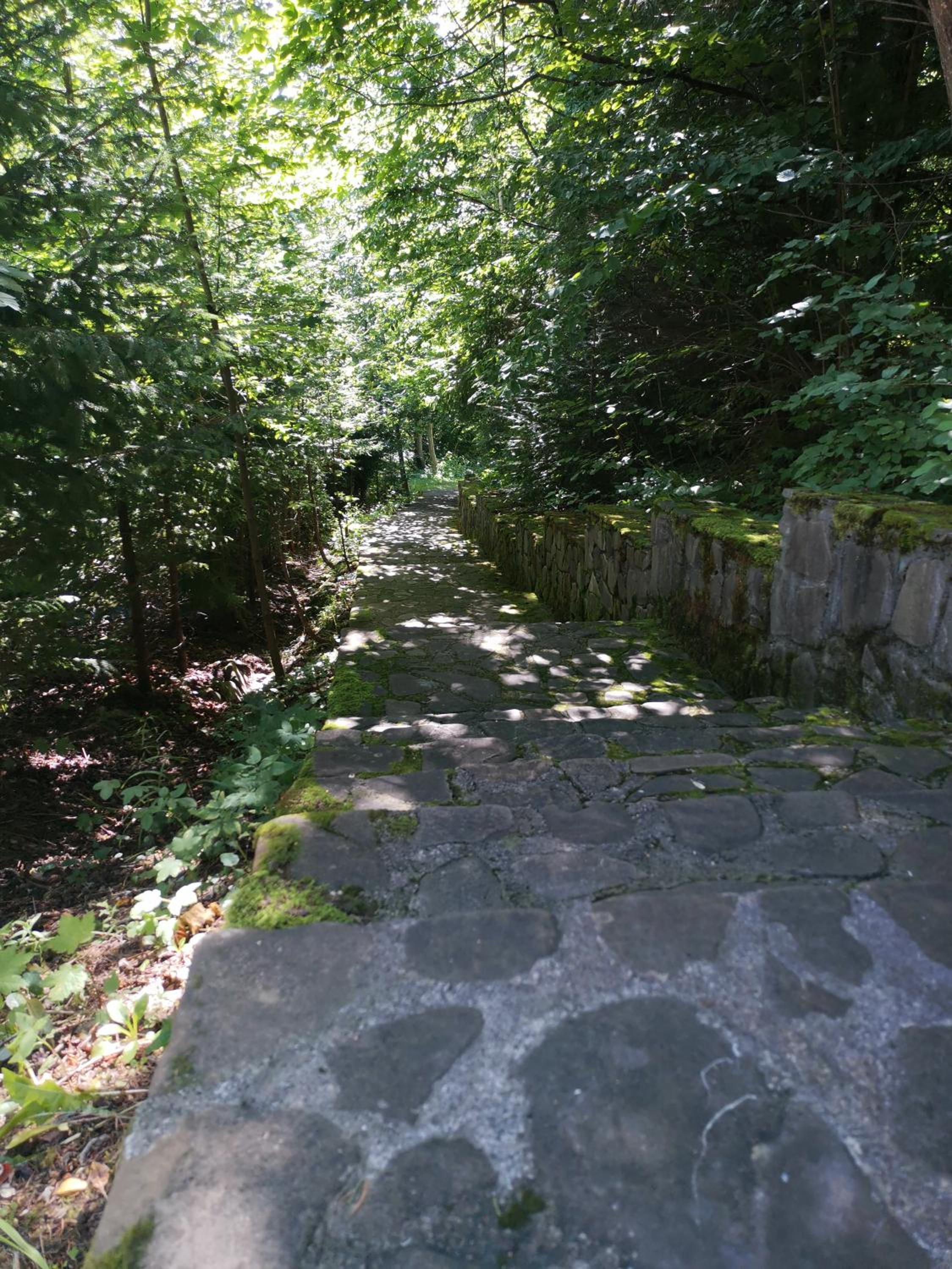 Vila Arcadia Sucevita