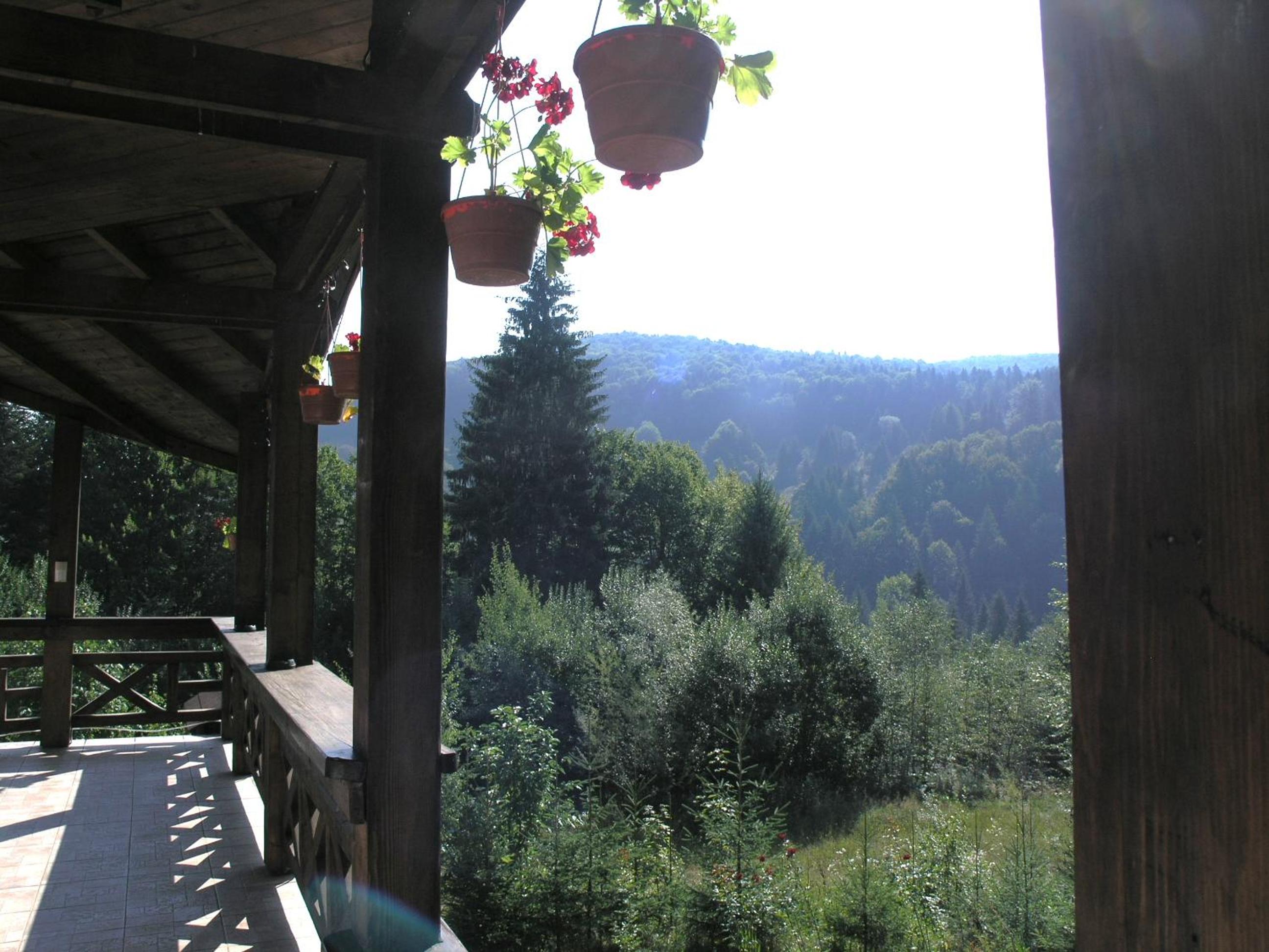 Vila Arcadia Sucevita