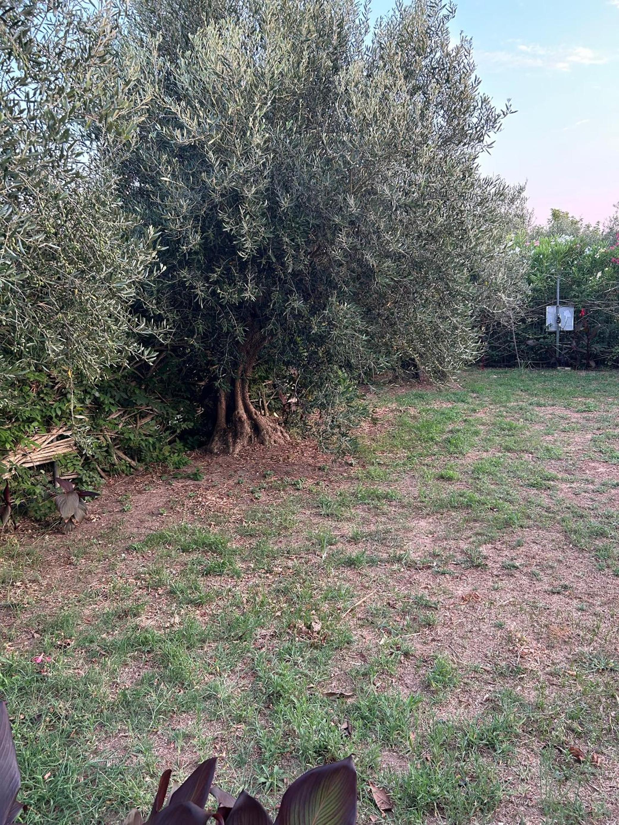 Villa Katerina in Chalikounas