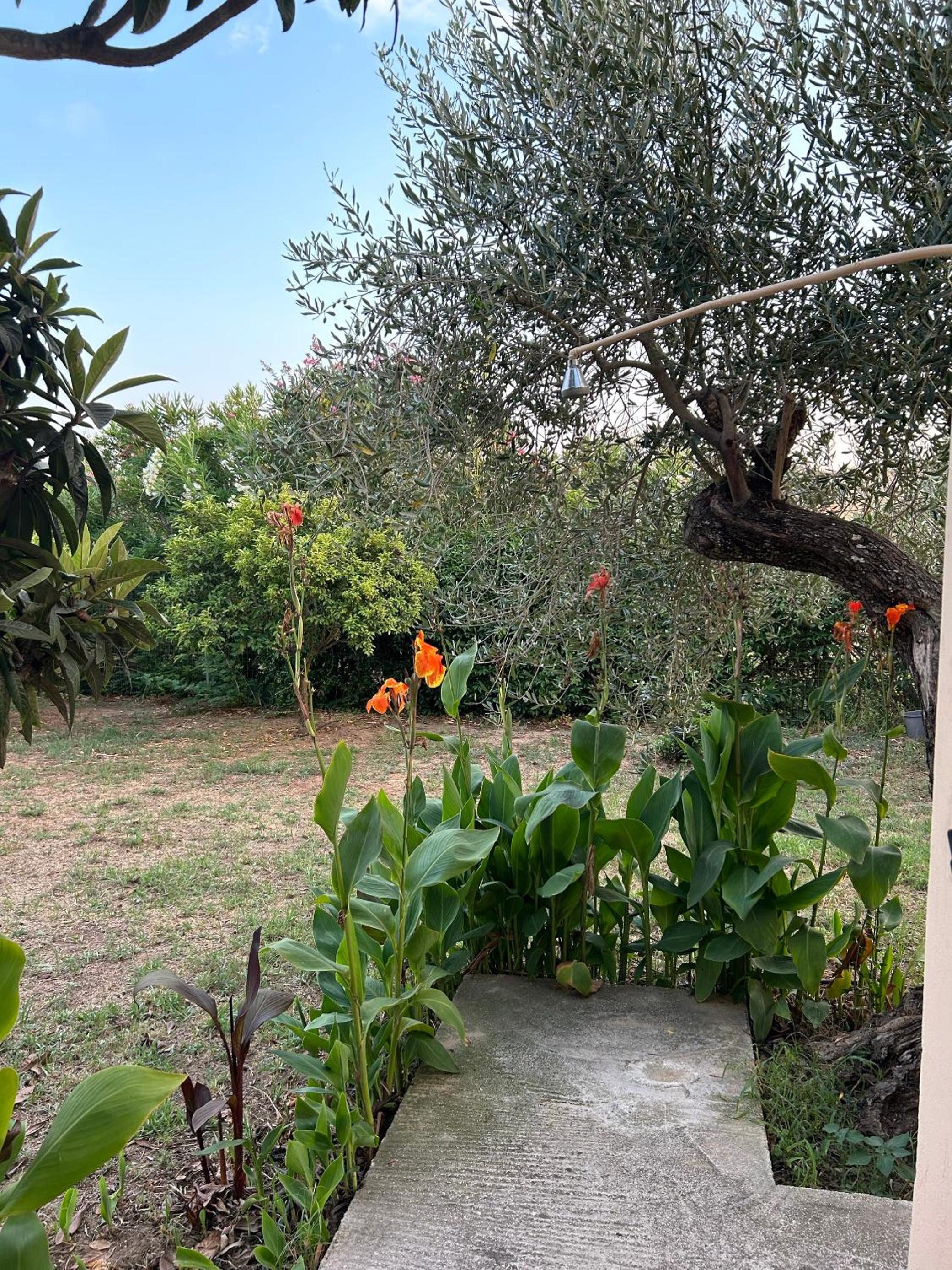 Villa Katerina in Chalikounas