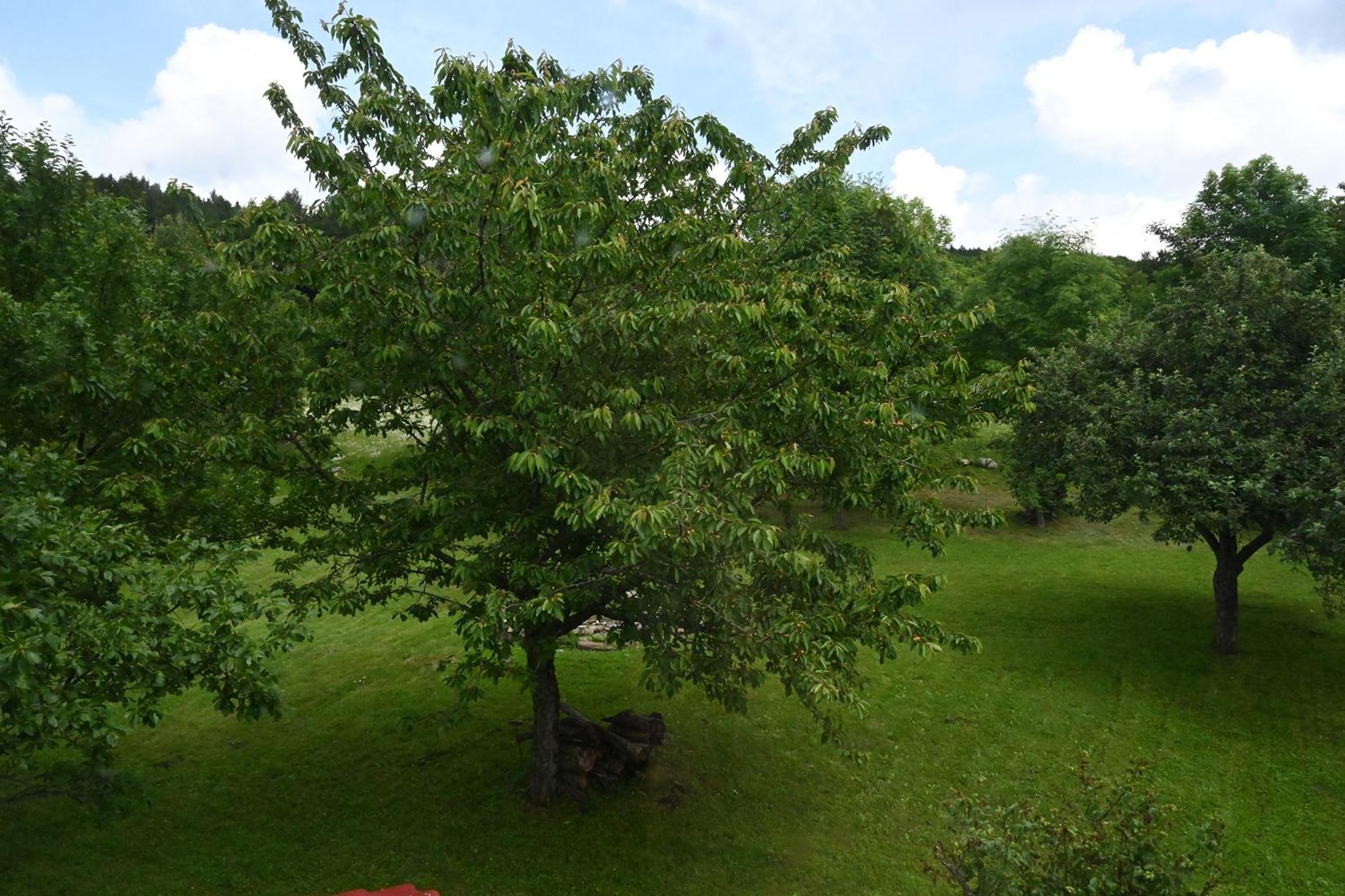 Photo 23