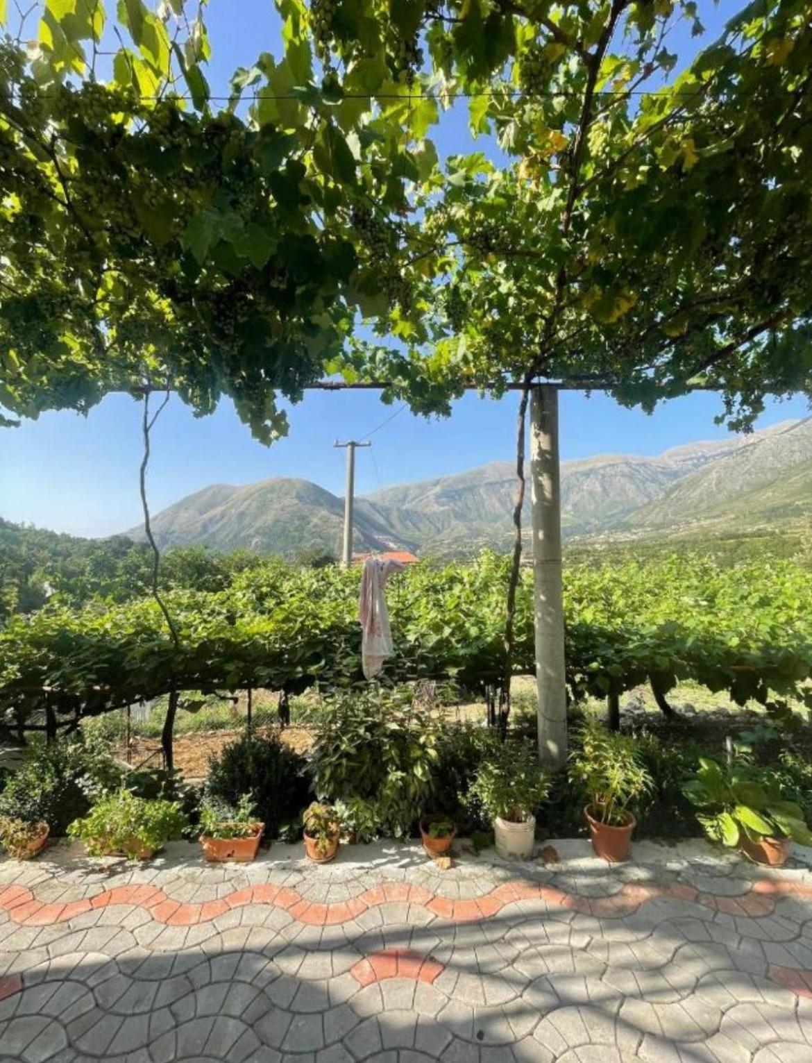 Apartament Dukat Albania