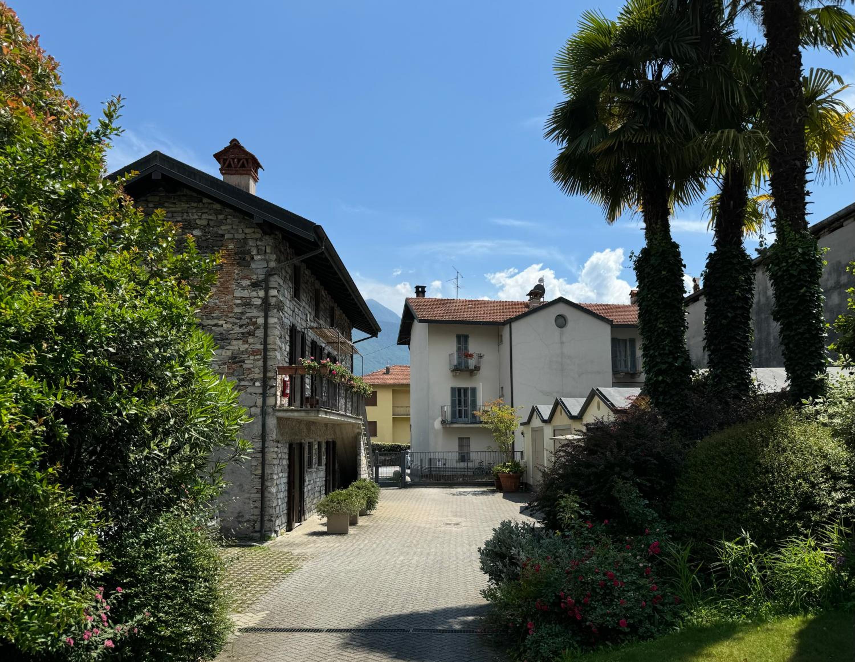 Photo 45