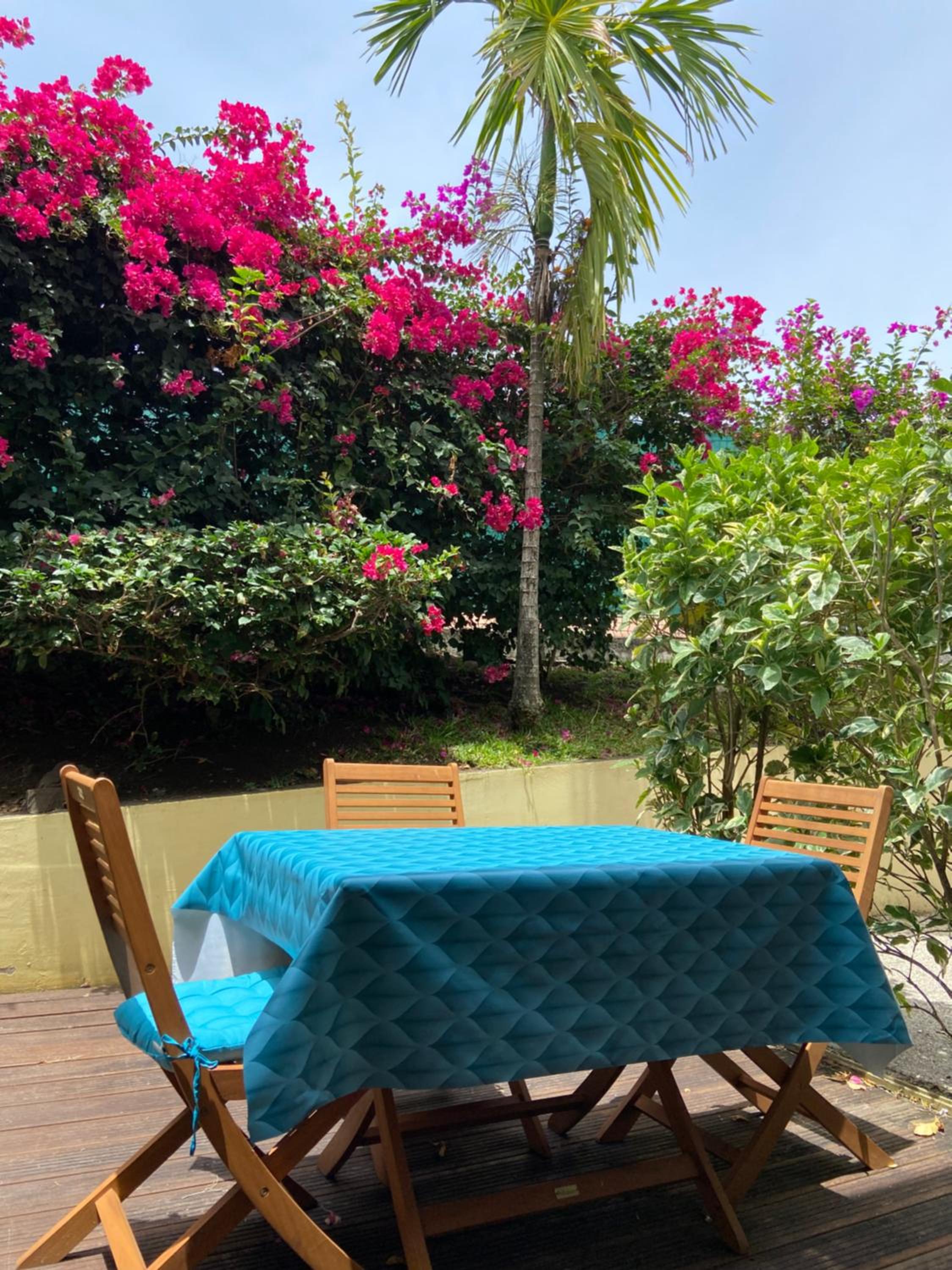 Appartement oasis