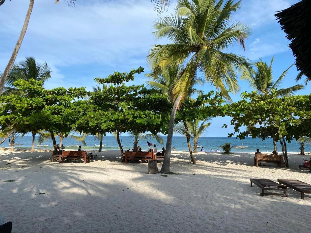Restful Beach Front studio-Diani view 5