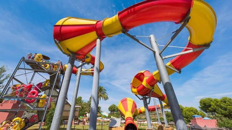 Bonanza Sea Horse Vacations