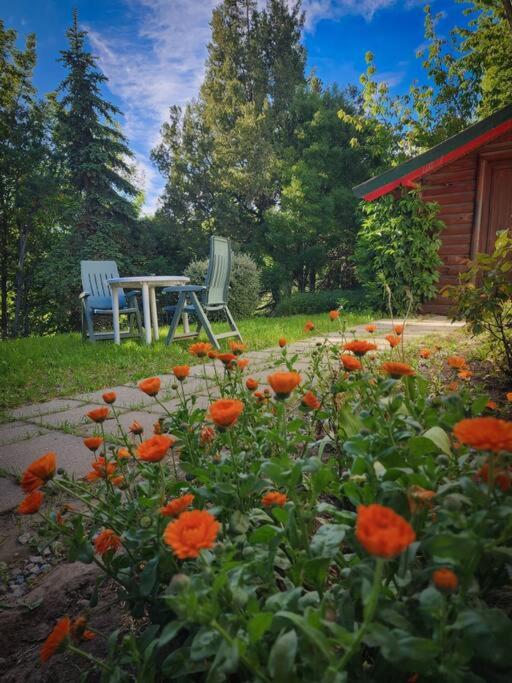 Encantadora Casa con bosquecito
