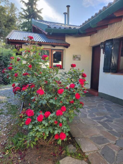 Encantadora Casa con bosquecito