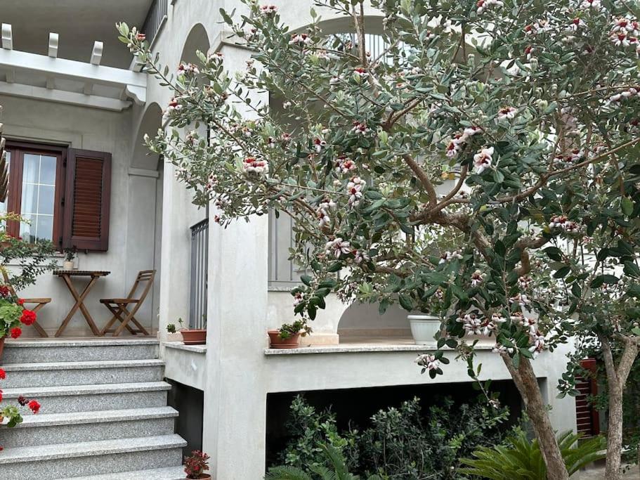 VILLA A 2 passi dal mare view 3