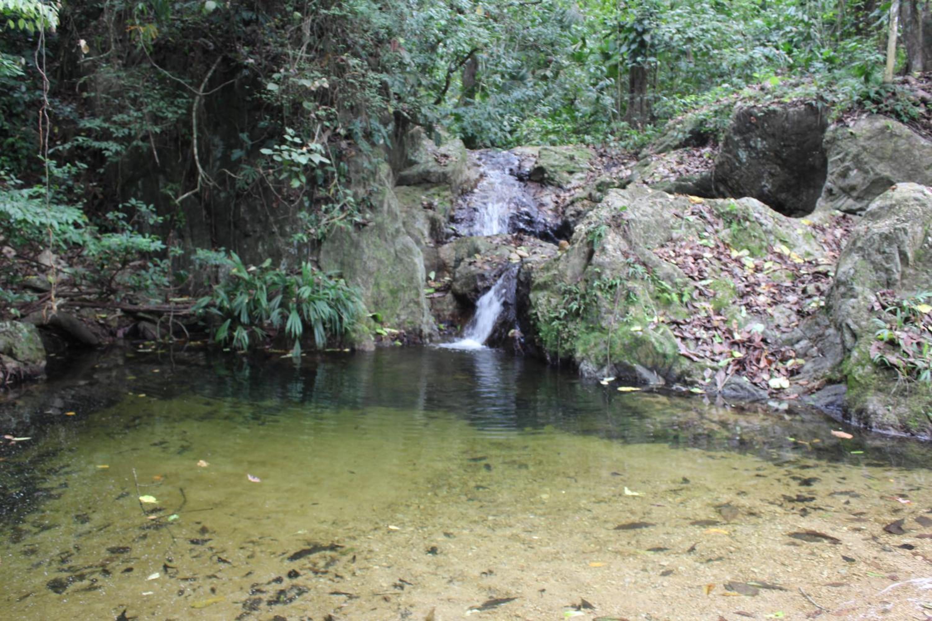 Finca Anicca - Cabaña, Camping, Hamaca - Farmstay