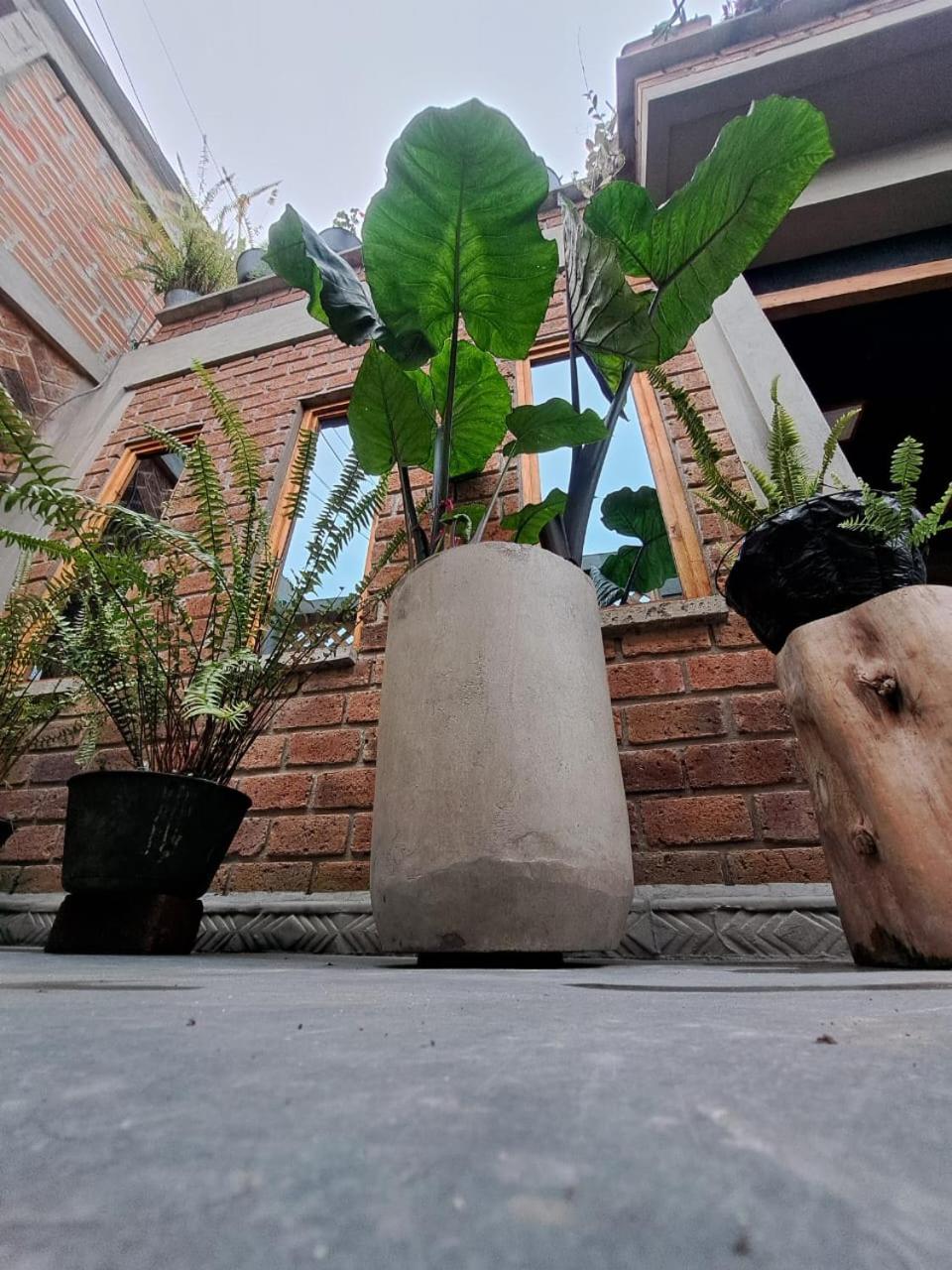 hostal la parada colon - putumayo