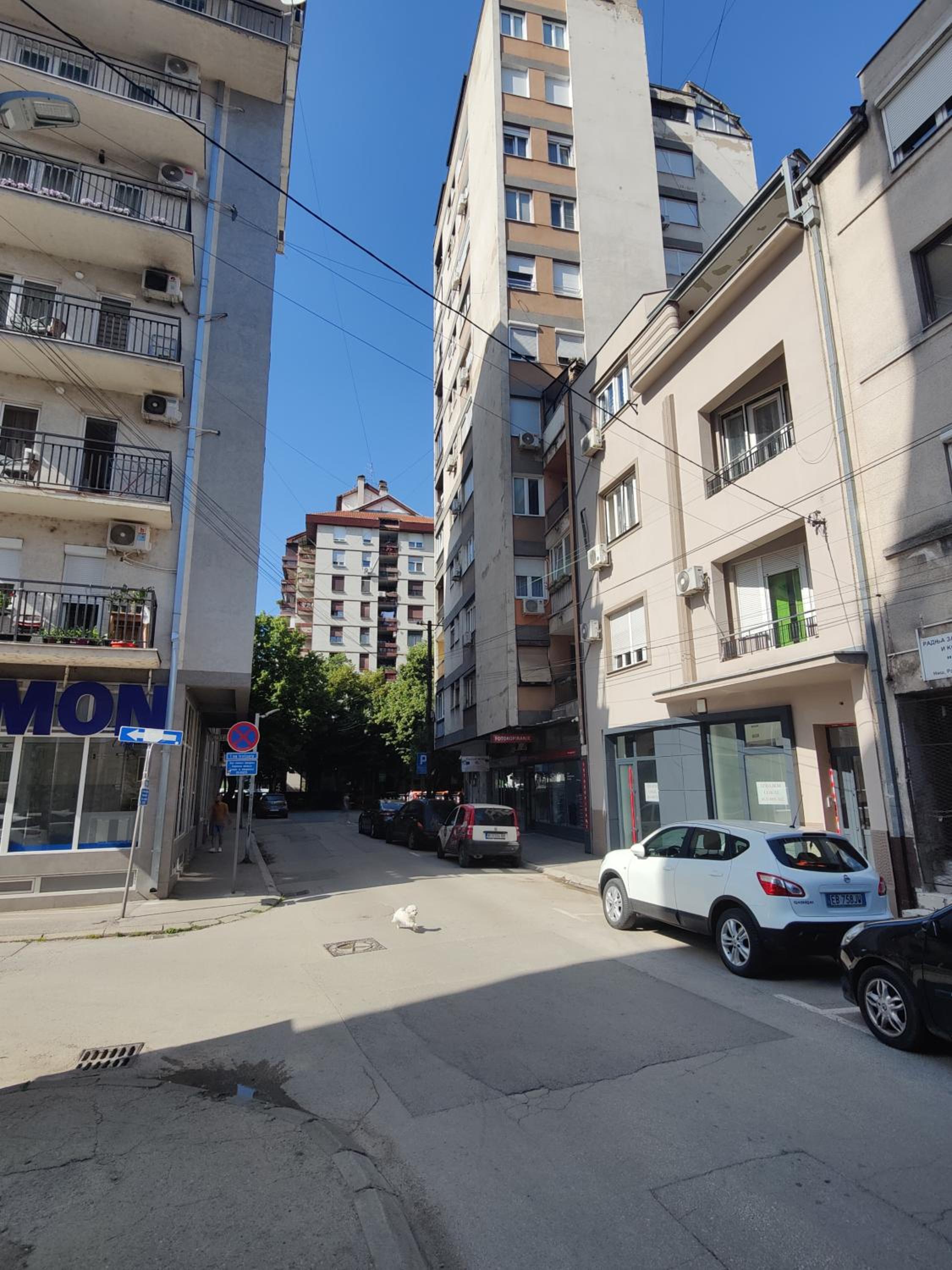 "Lemi - King of Rajiceva st" view 3