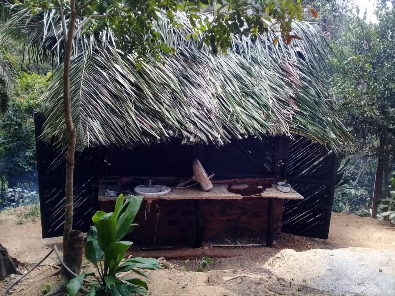 Finca Anicca - Cabaña, Camping, Hamaca - Farmstay