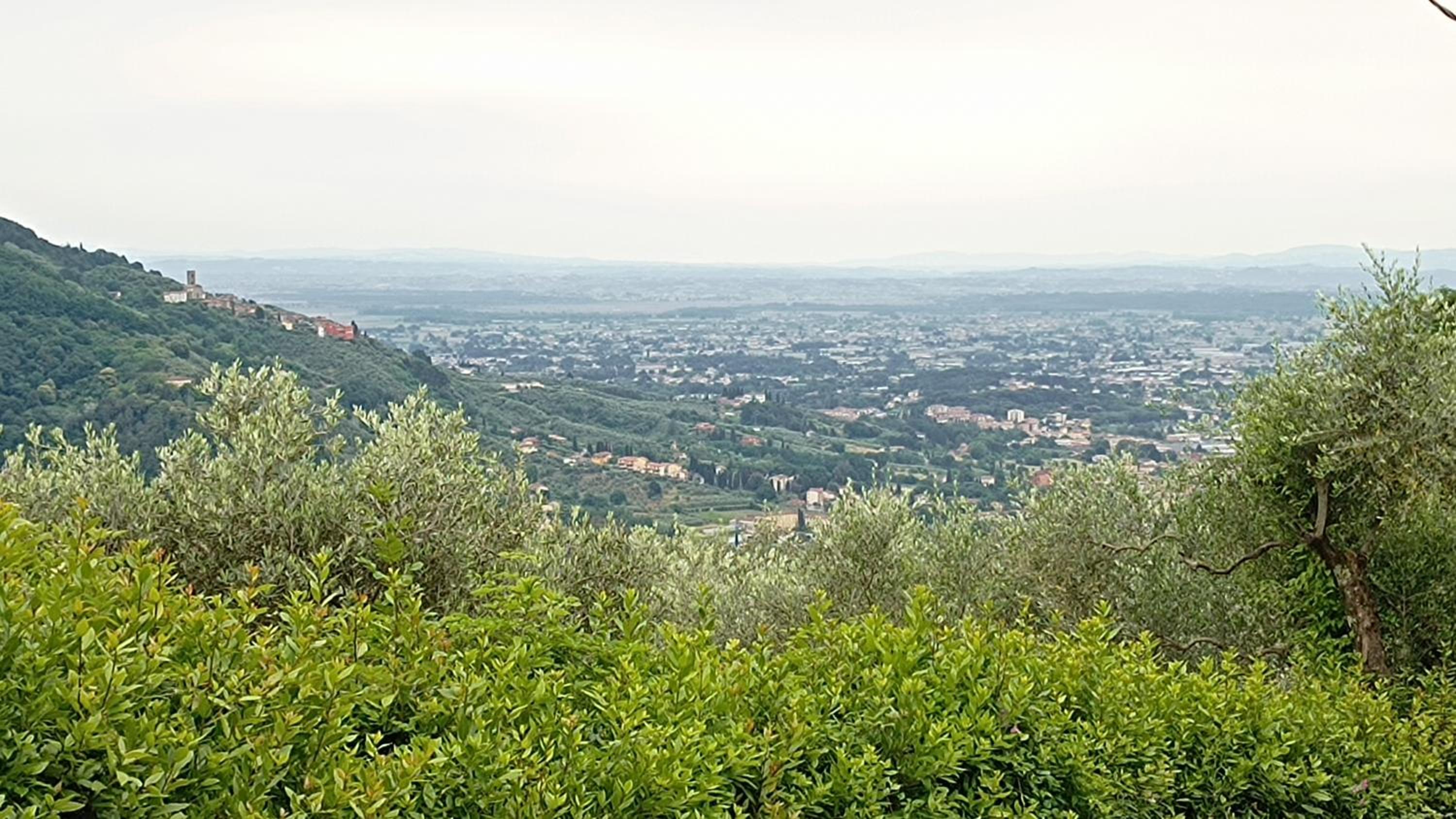 La Pesciatina view 2