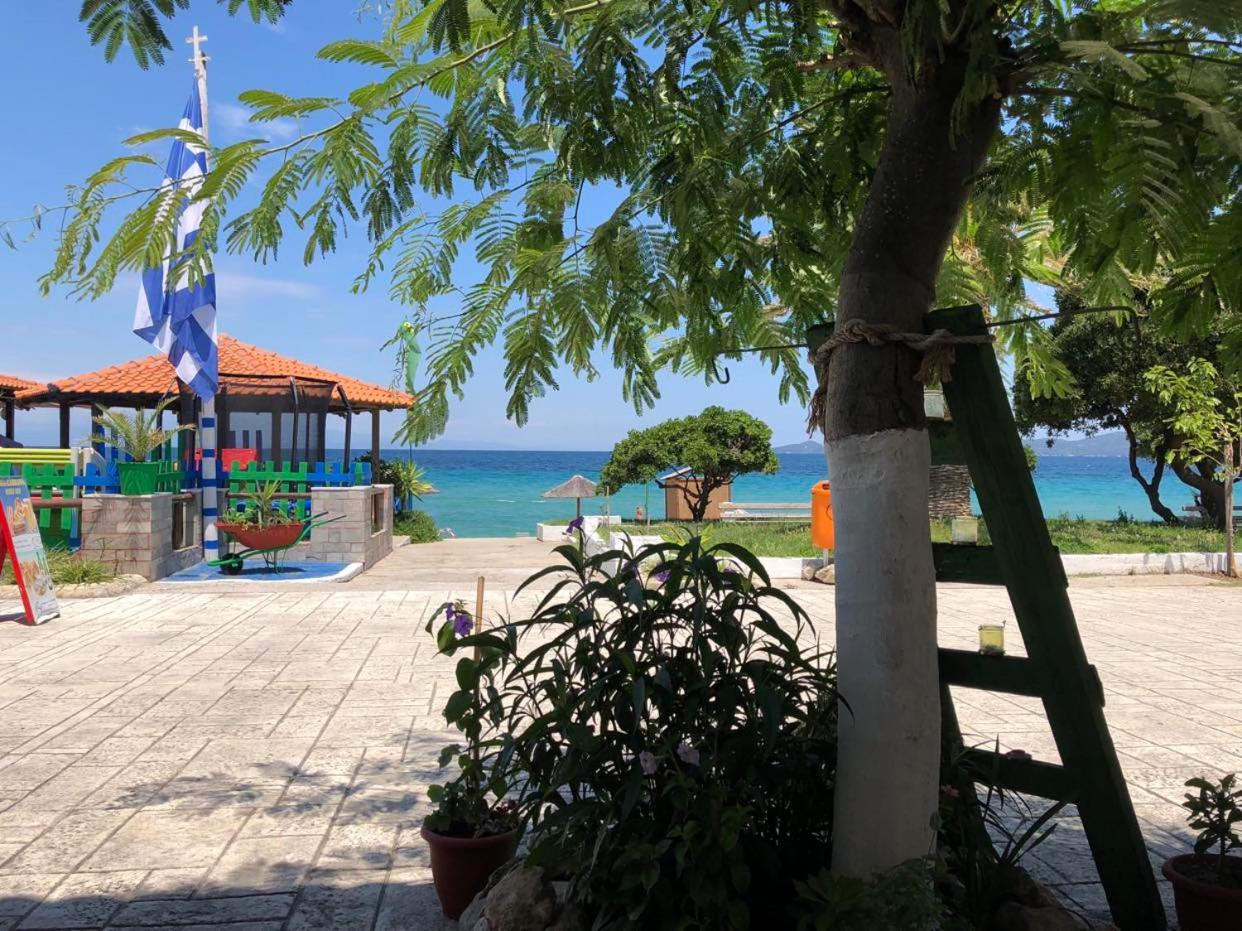 MangoSeaview Home