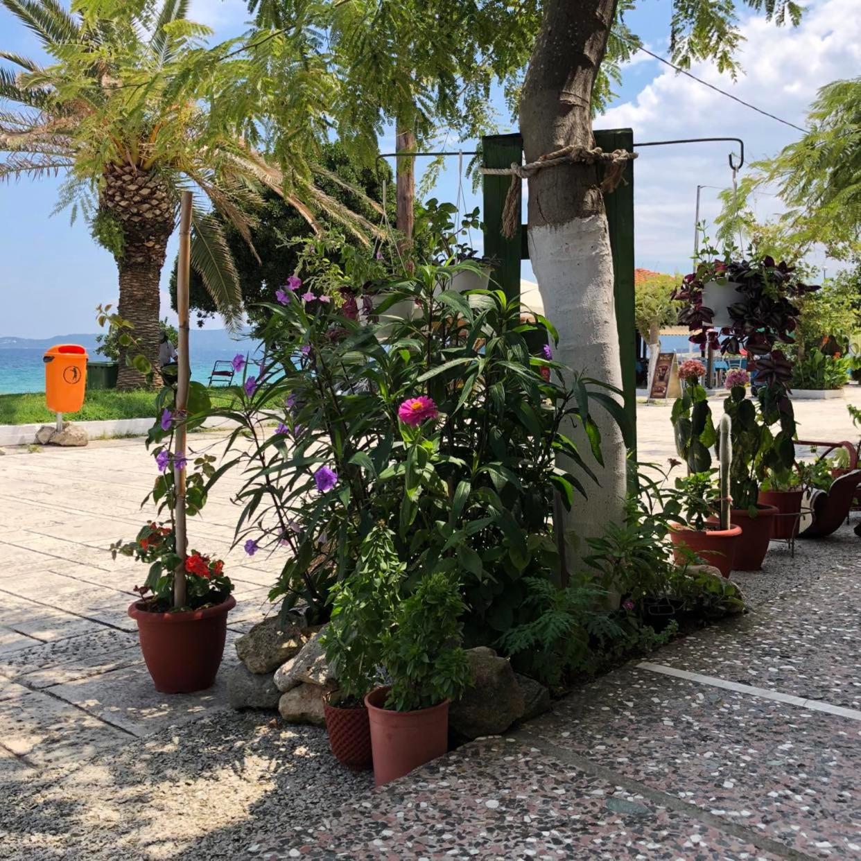 MangoSeaview Home