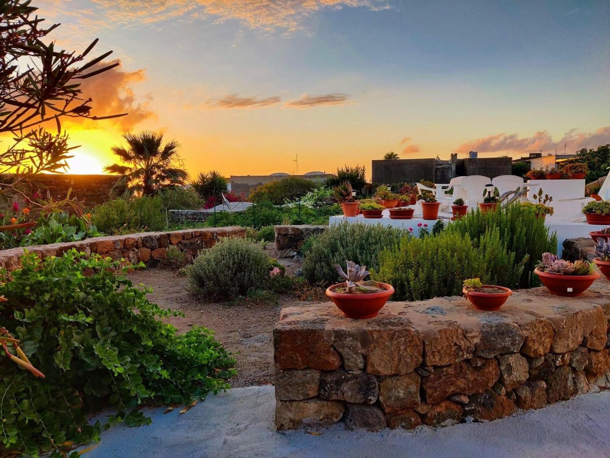 Dammuso Pantelleria - Fiori D'Ossidiana