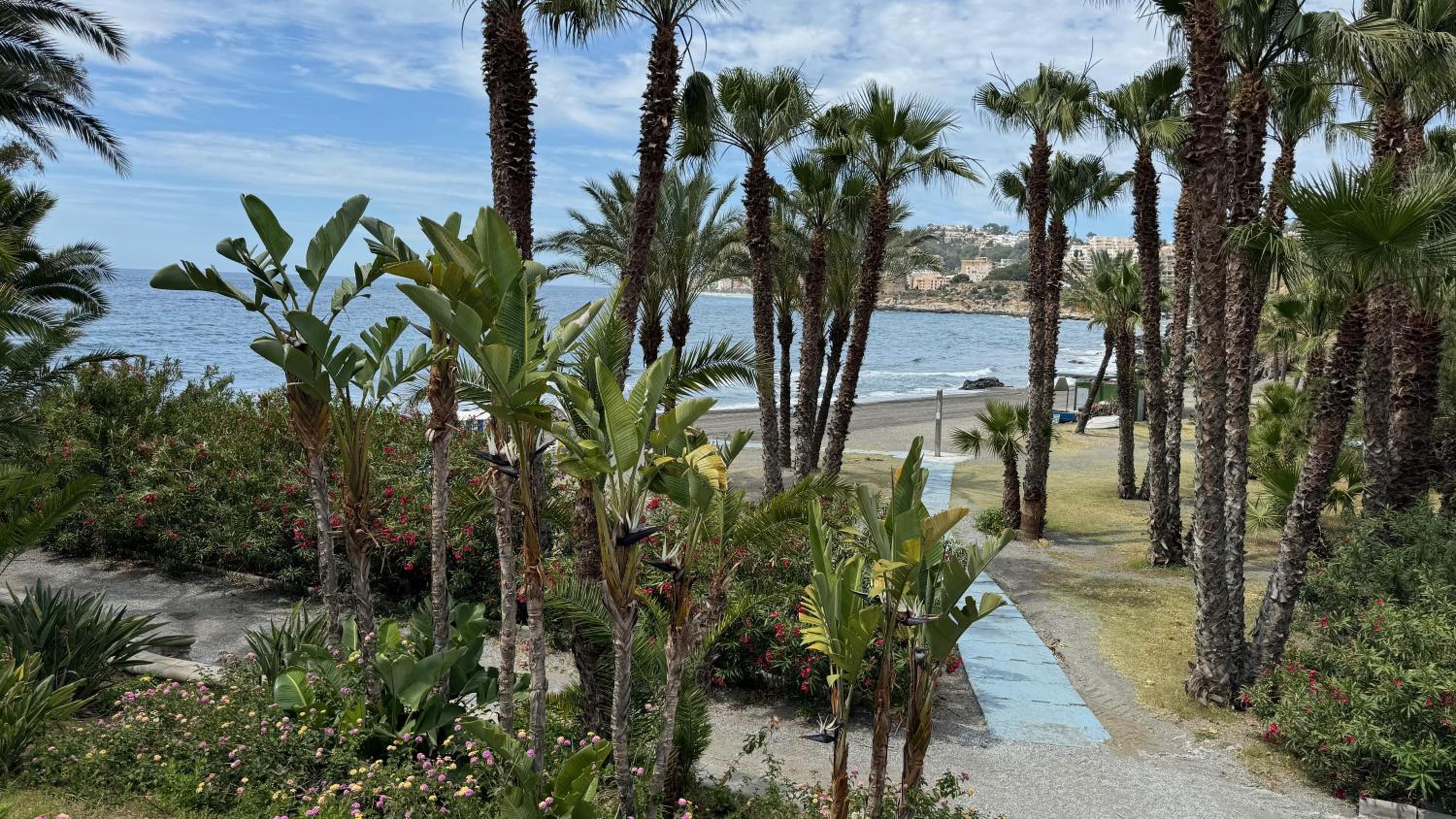 Miradoralmar
