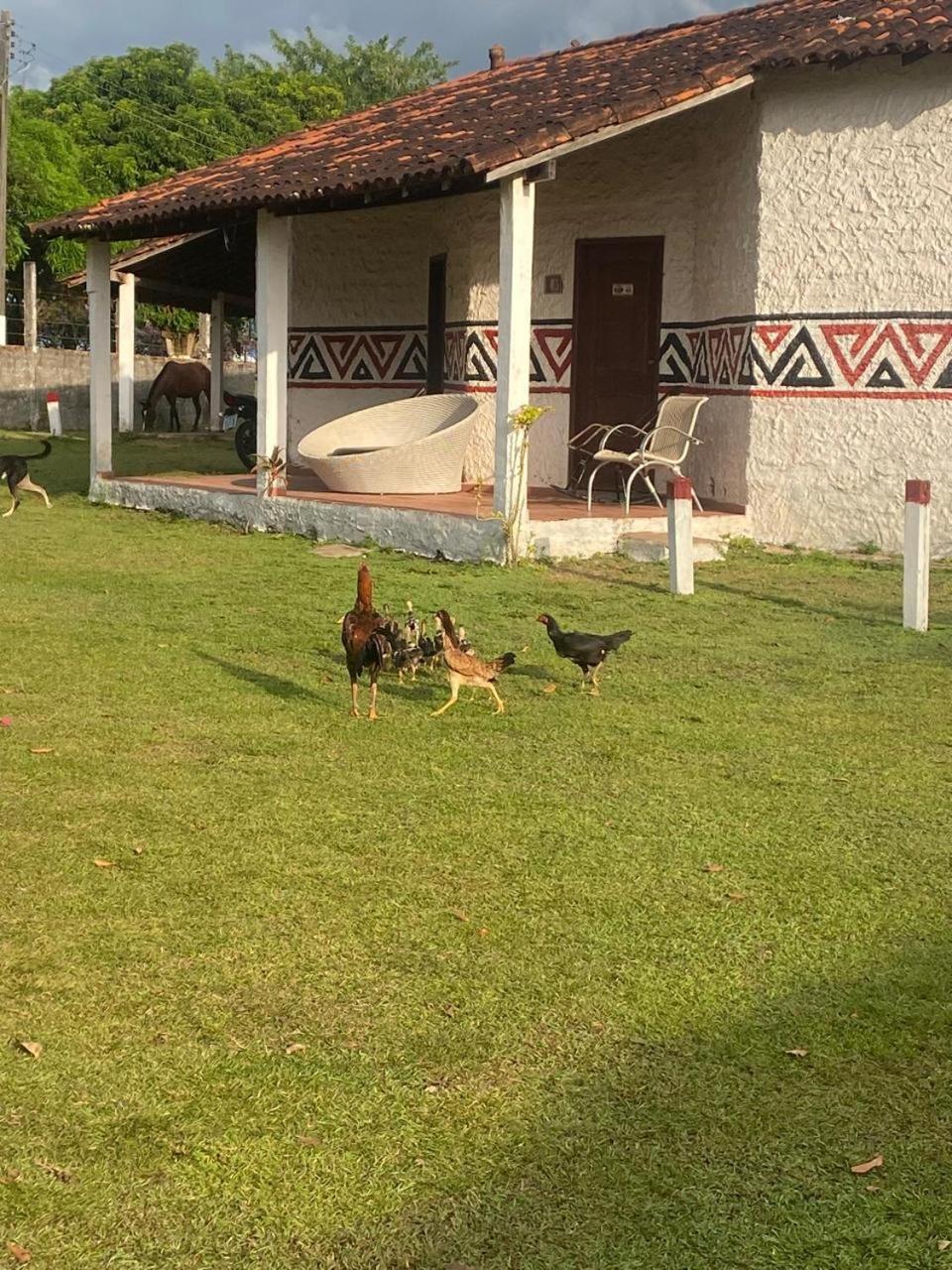 Pousada Marajoara- Hotel Fazenda-Turismo de Aventura
