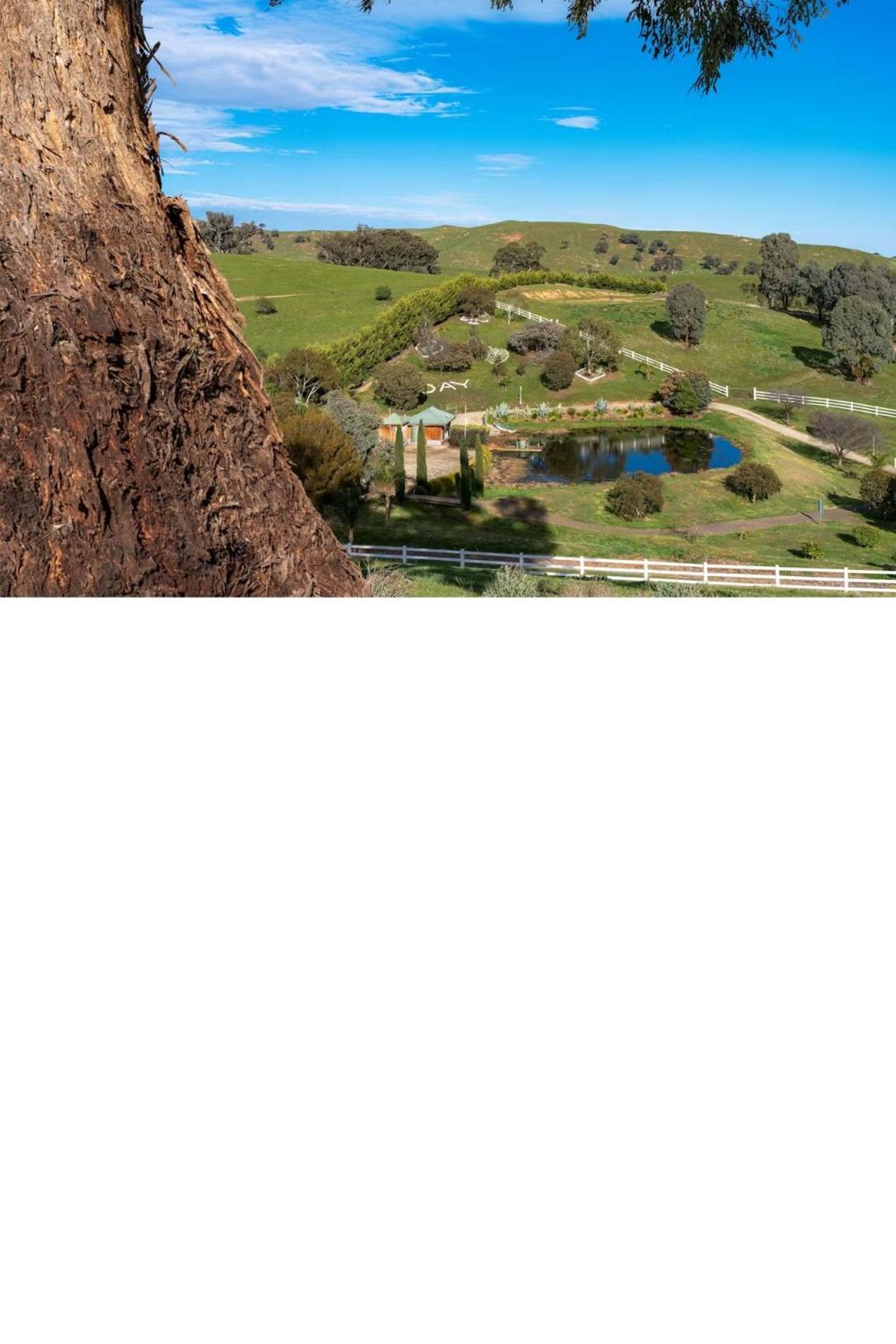 Daisy Hill Lodge