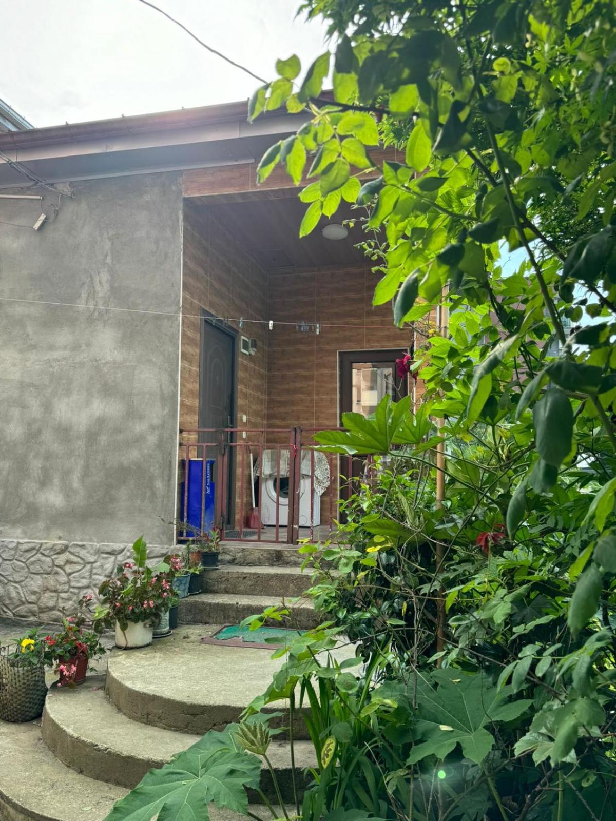 House Nature Sea