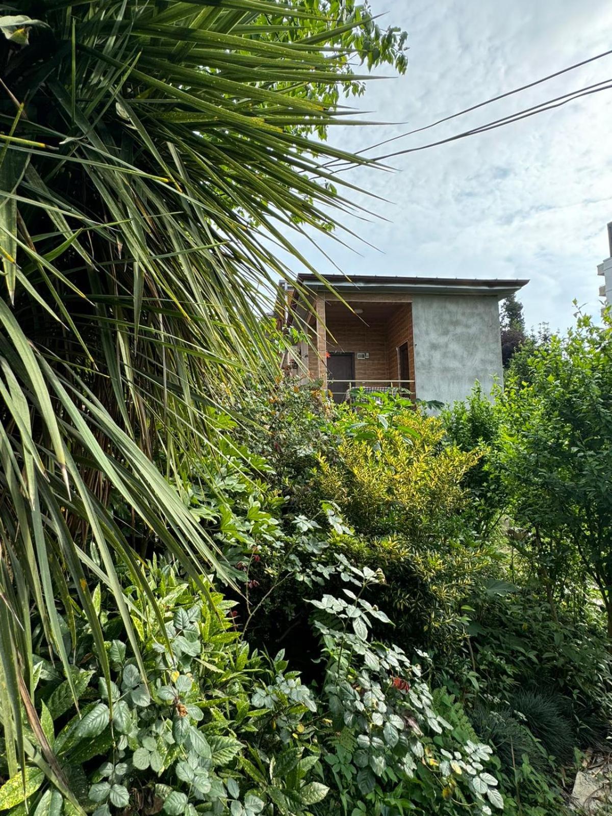 House Nature Sea