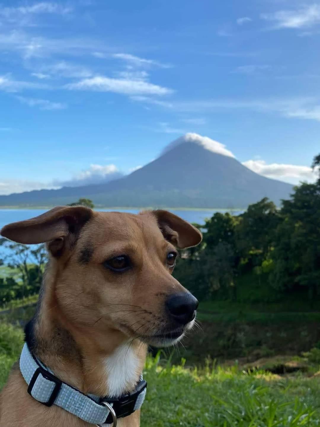 Sunset Inn Arenal B&B
