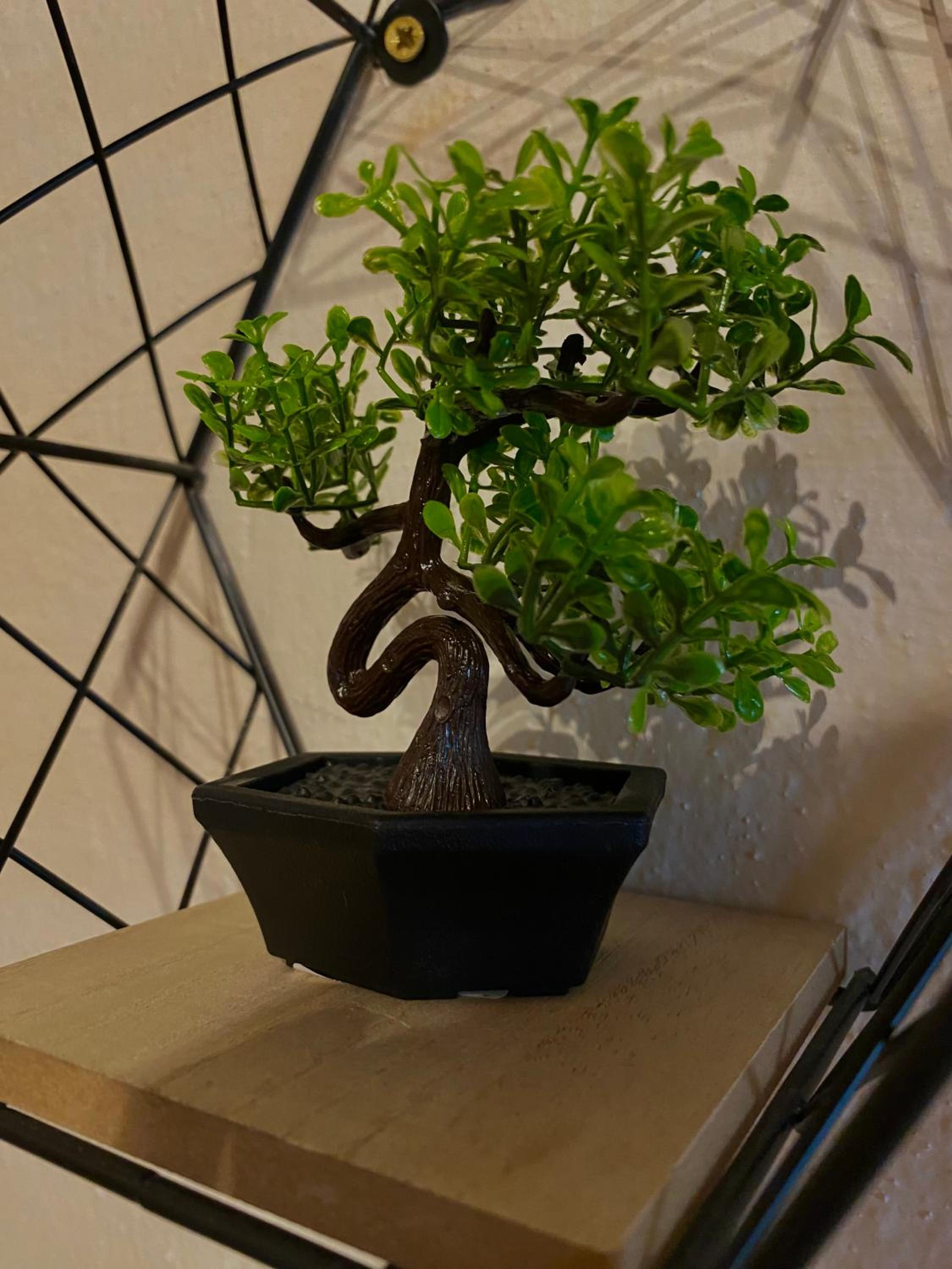 other