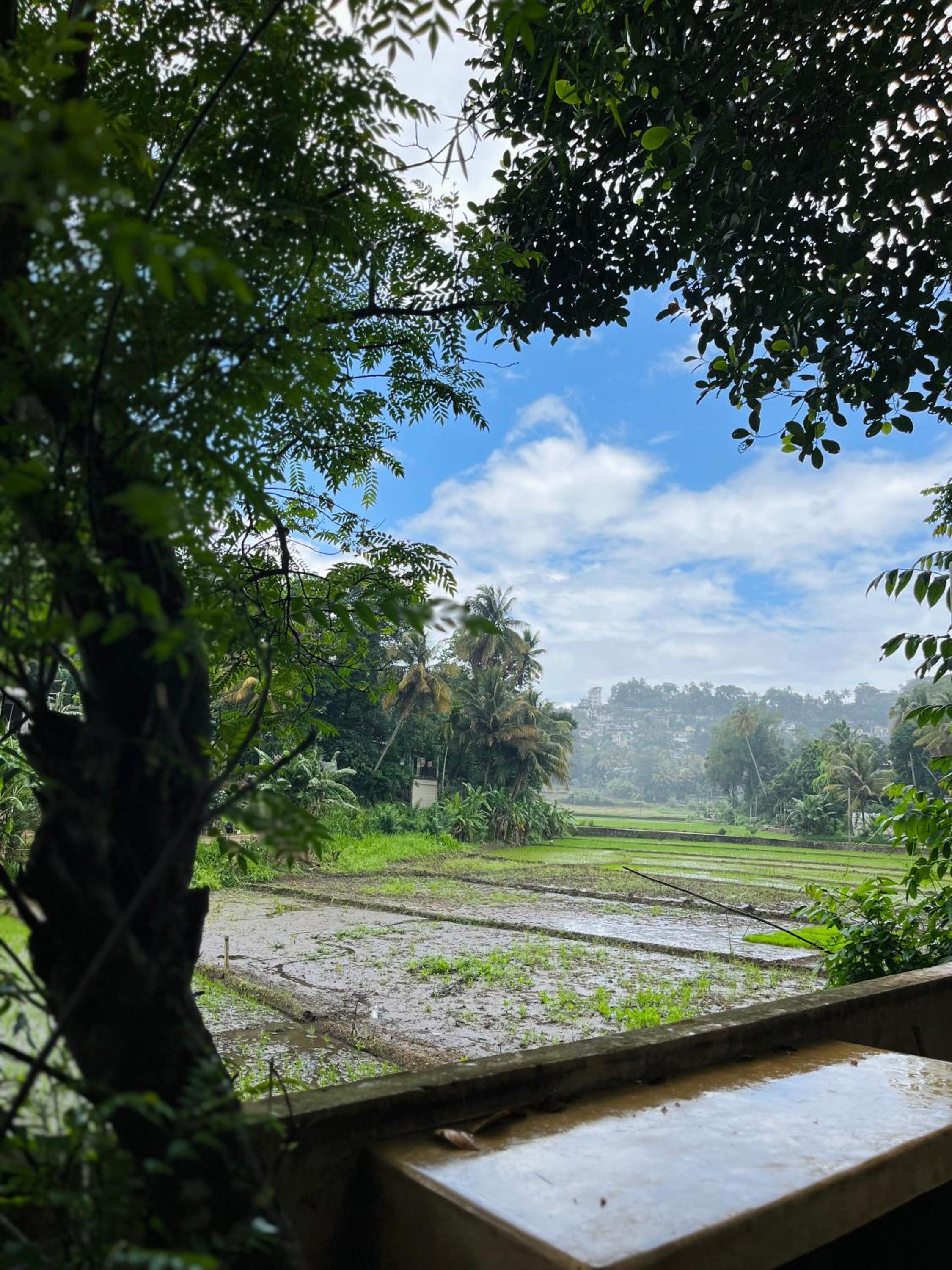 Kandy Living Homestay