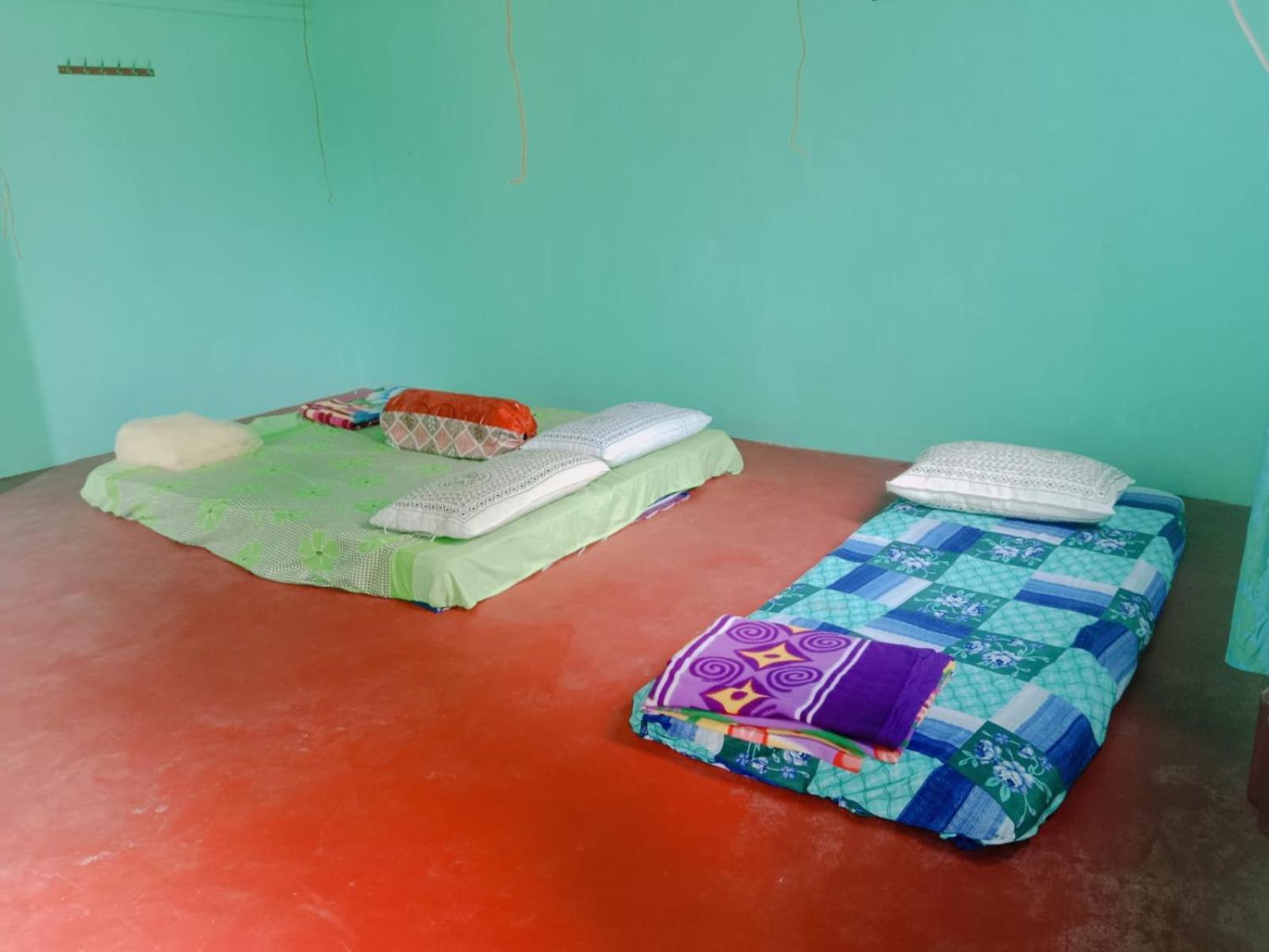 Photo 50