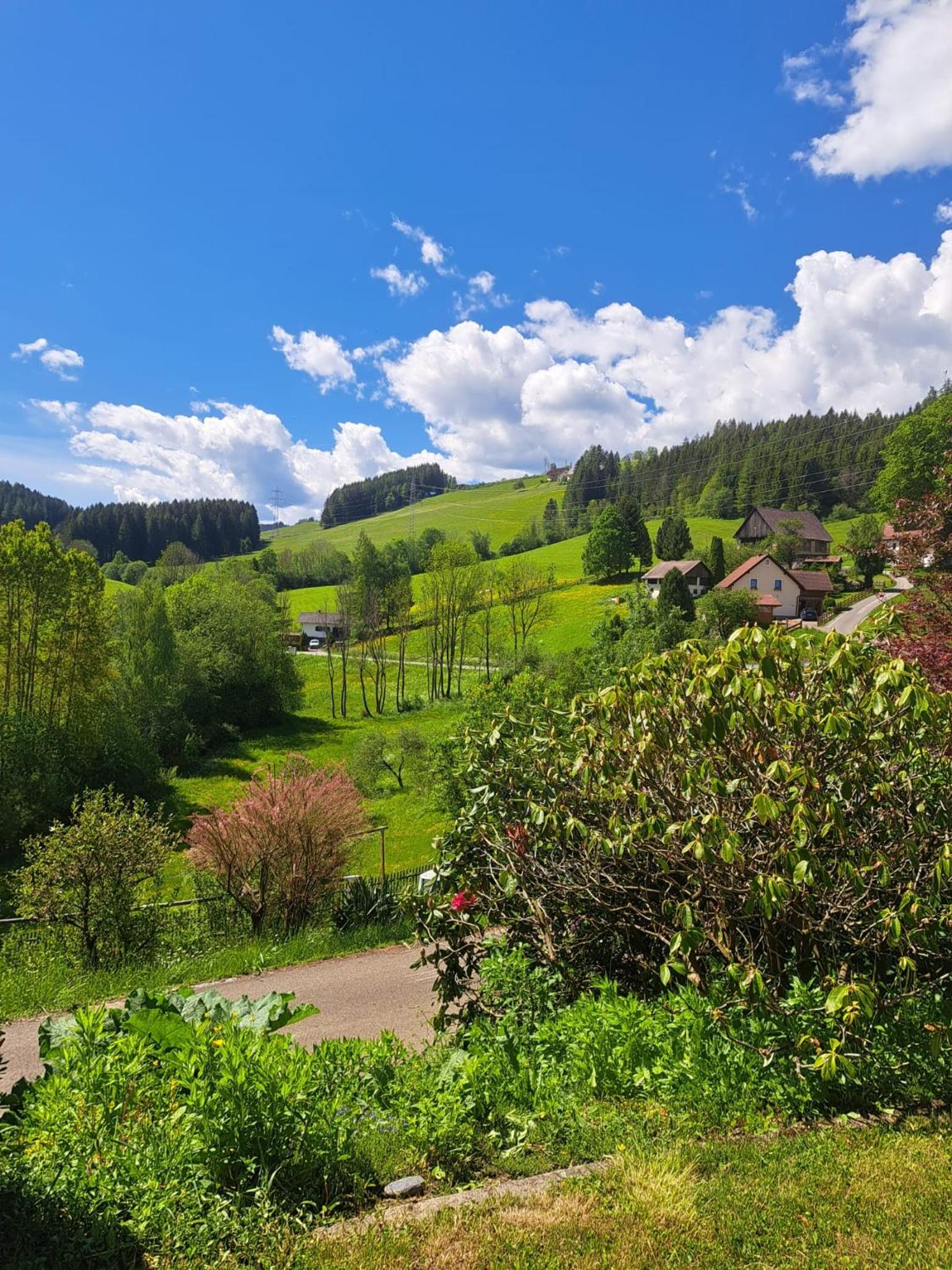 Baumgartner - Bauernhaus