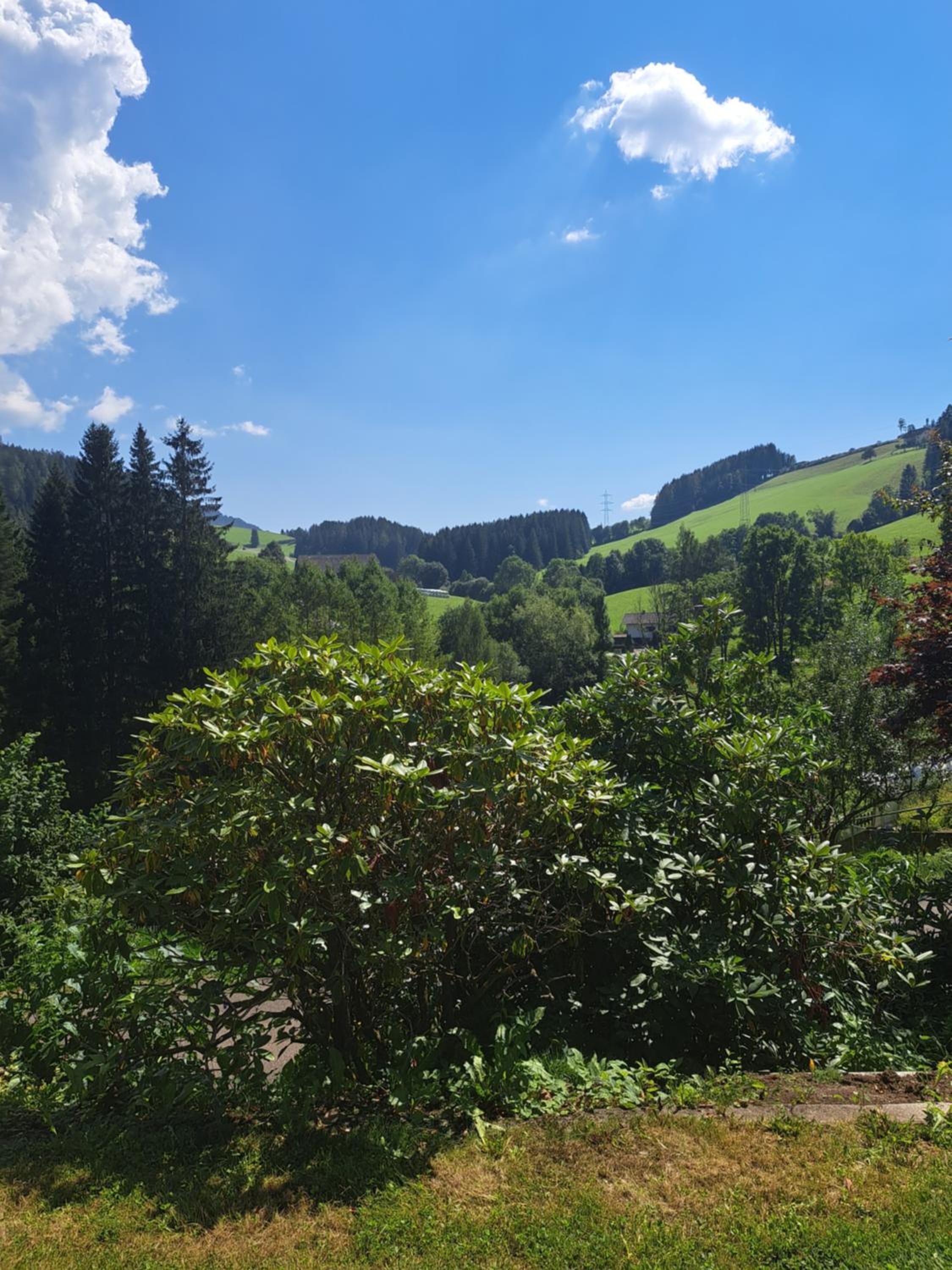 Baumgartner - Bauernhaus