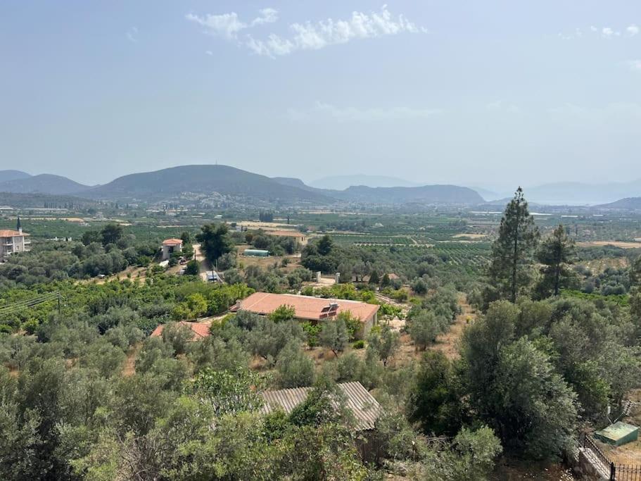 Villa Volimi