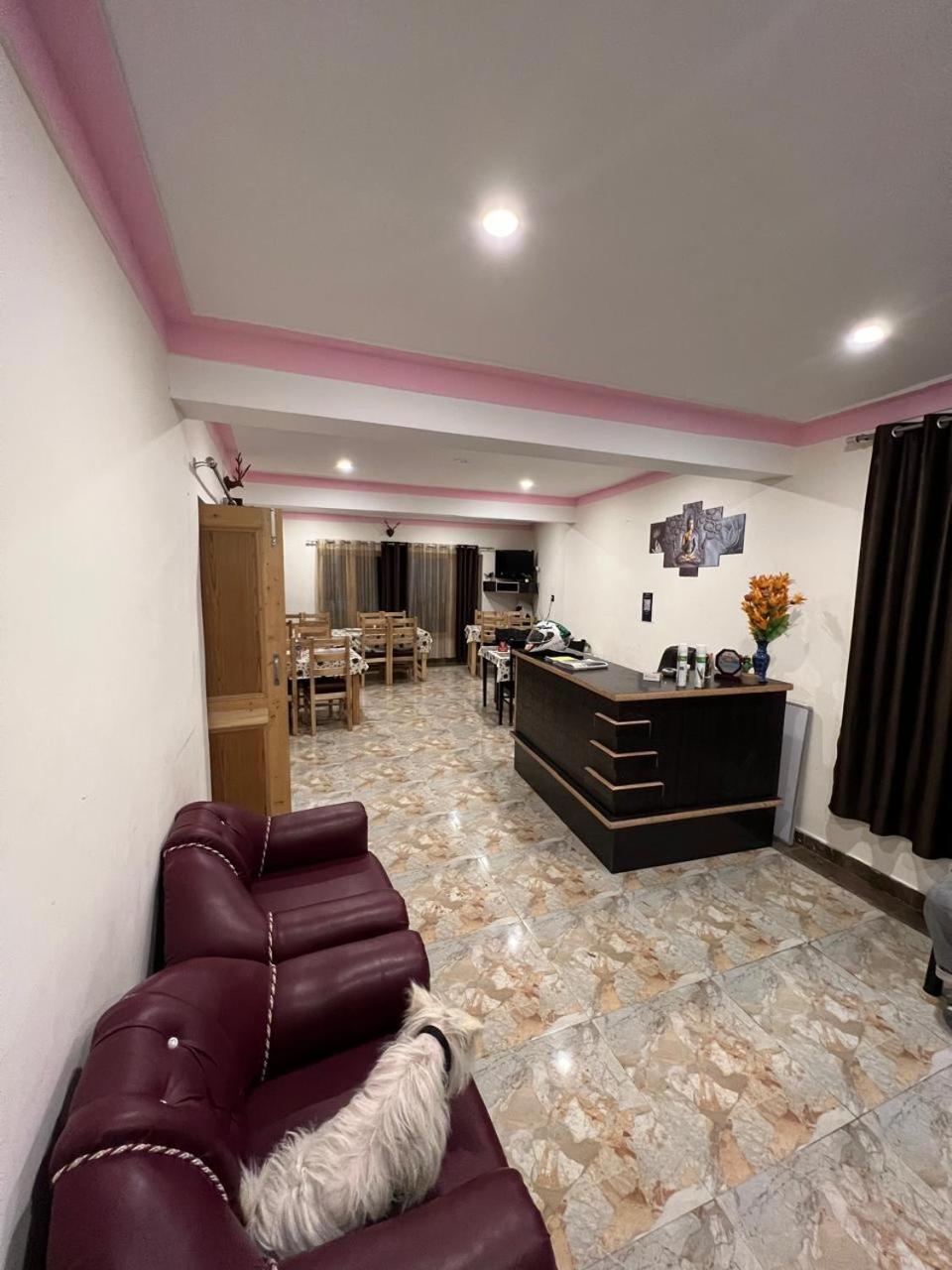 Sky land guest house view 4