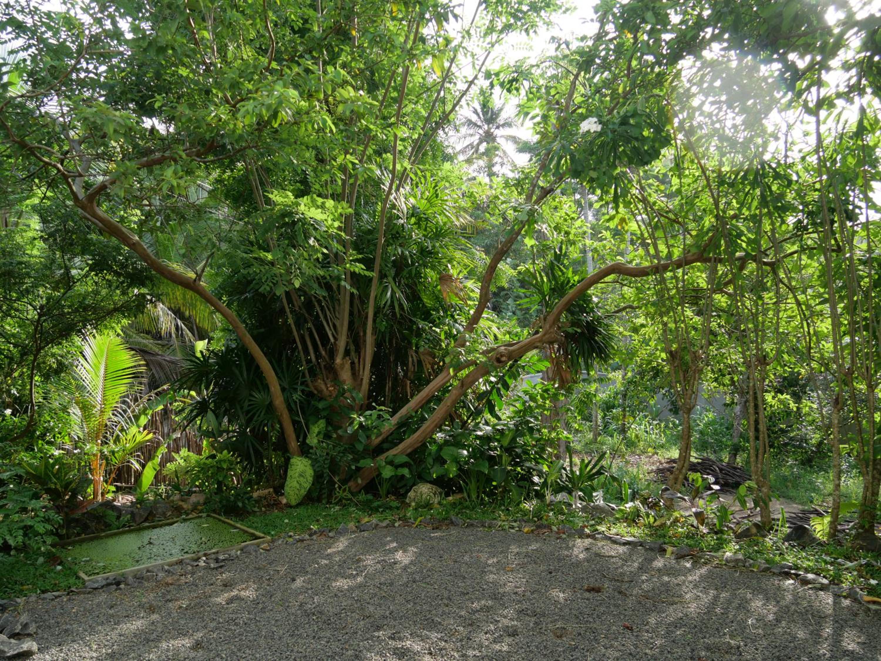 Watu House