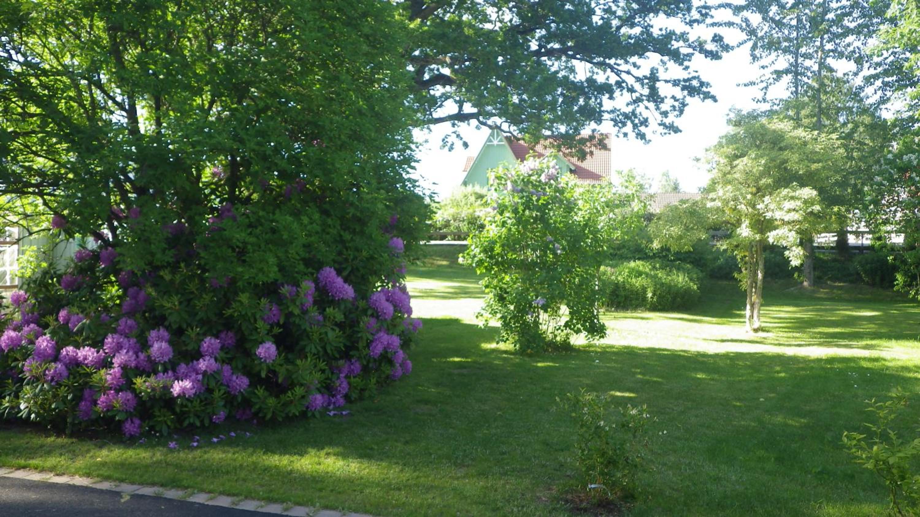 Bergsvägen Bed & Breakfast