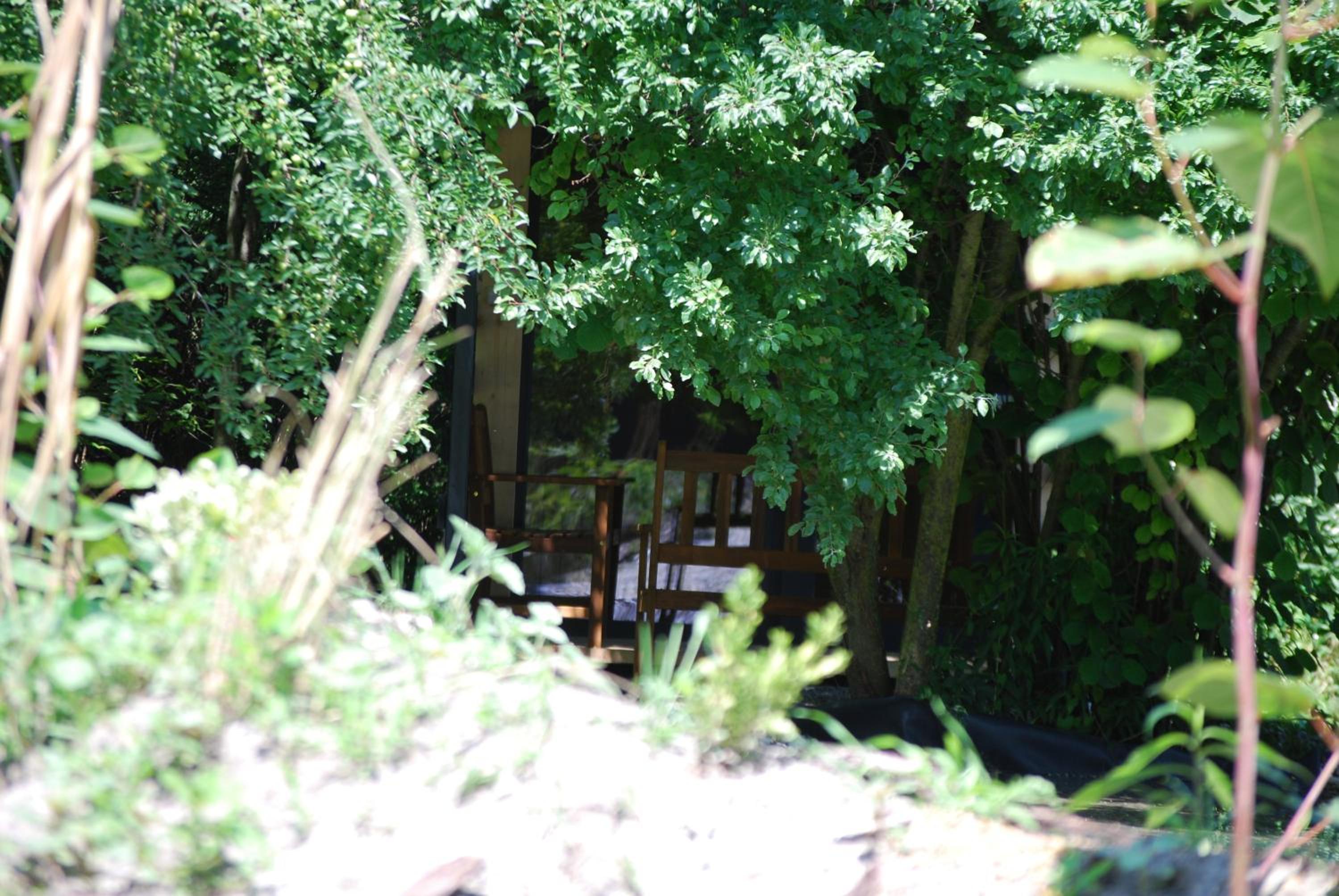 Photo 32