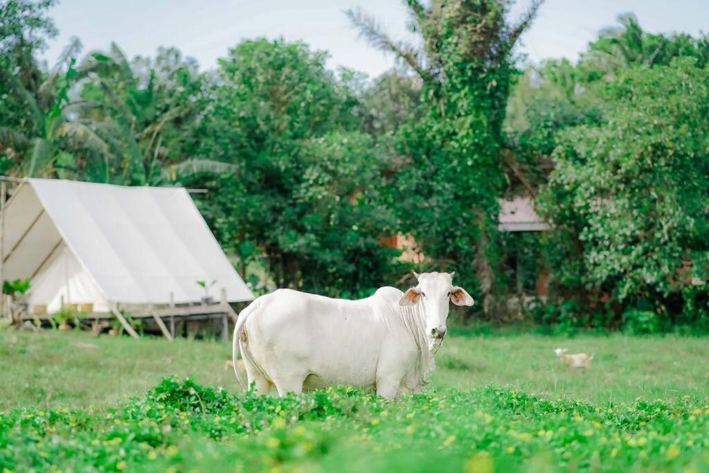 Nami Carolina, Your Weekend Home near Tagaytay