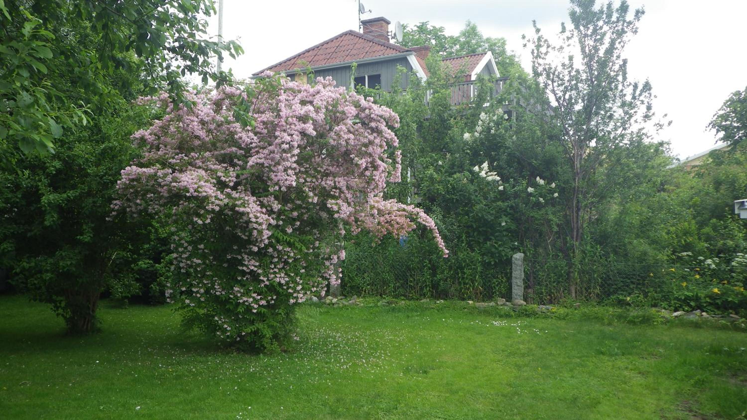 Bergsvägen Bed & Breakfast