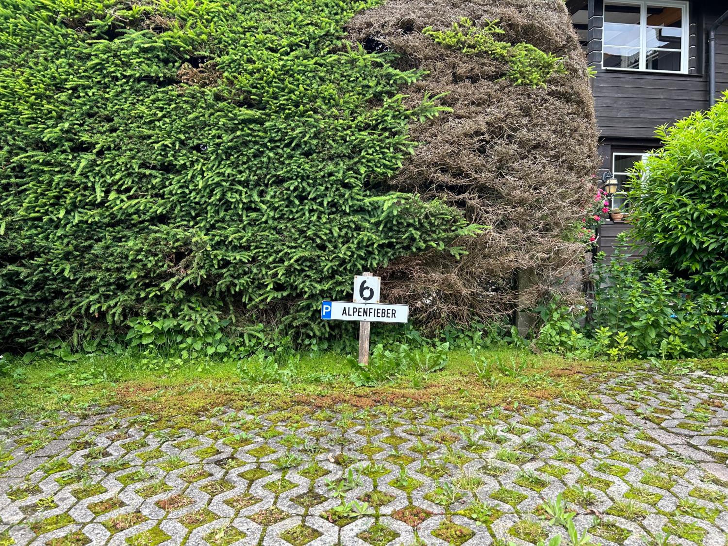 Alpenfieber