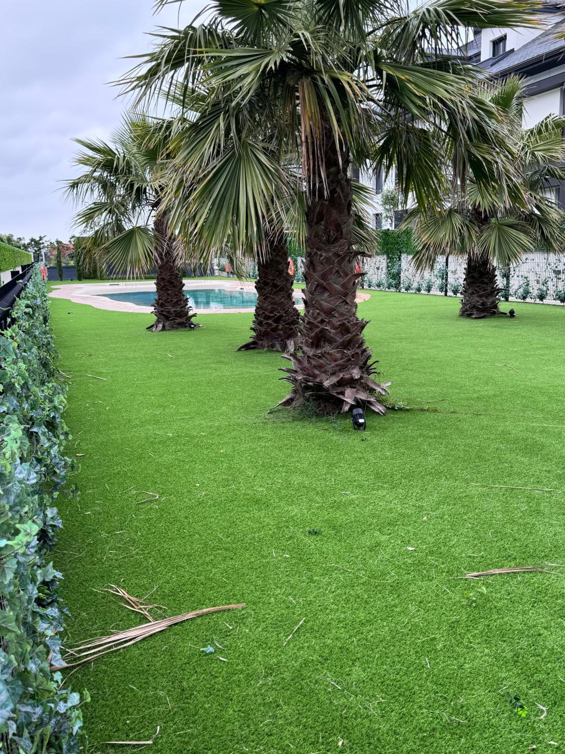 Apartamento con jardin Long Beach Loredo