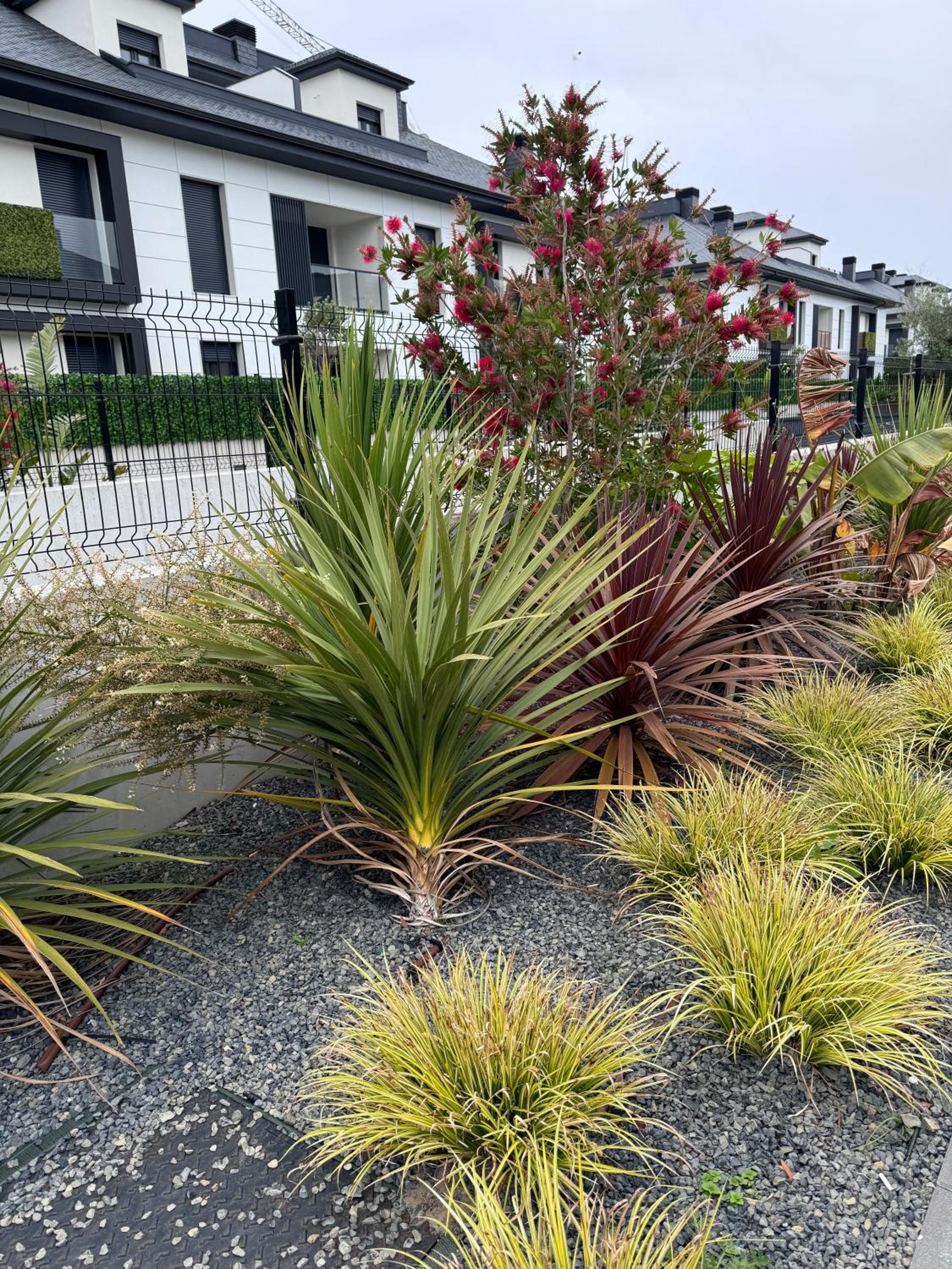 Apartamento con jardin Long Beach Loredo