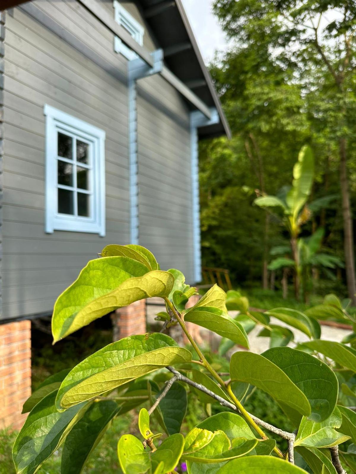 Eco House